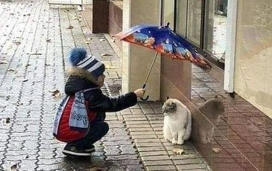 16 buc anh khien ban thay cuoc song nay van rat dang yeu hinh anh