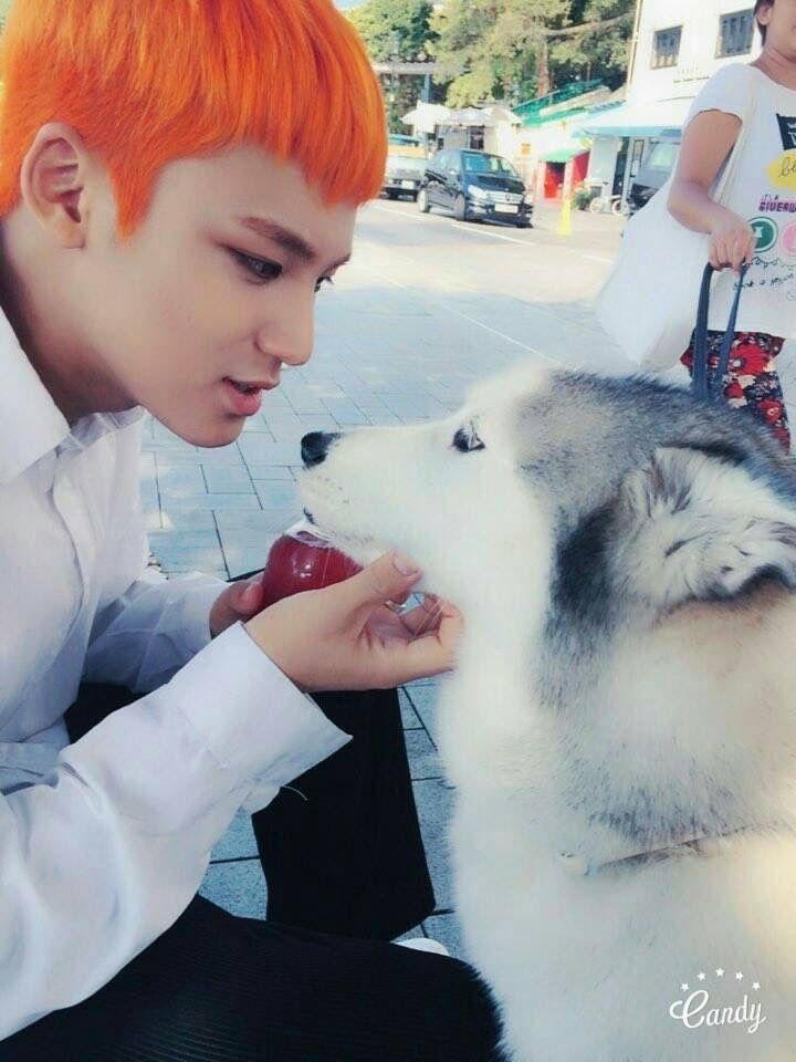 My nam Seventeen chung minh nhan sac phu hop moi mau toc anh 6