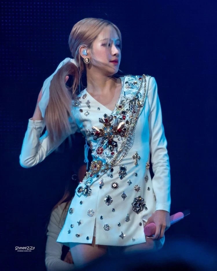 nhung trang phuc bieu dien bat mat cua Rose anh 5