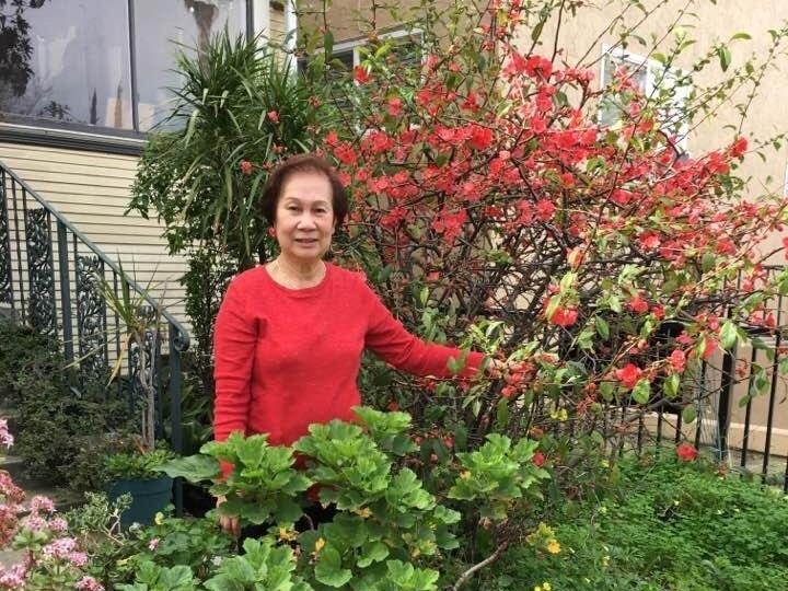 Ba cu thanh hien tuong mang vi so thich mac do giong mau vuon hoa hinh anh