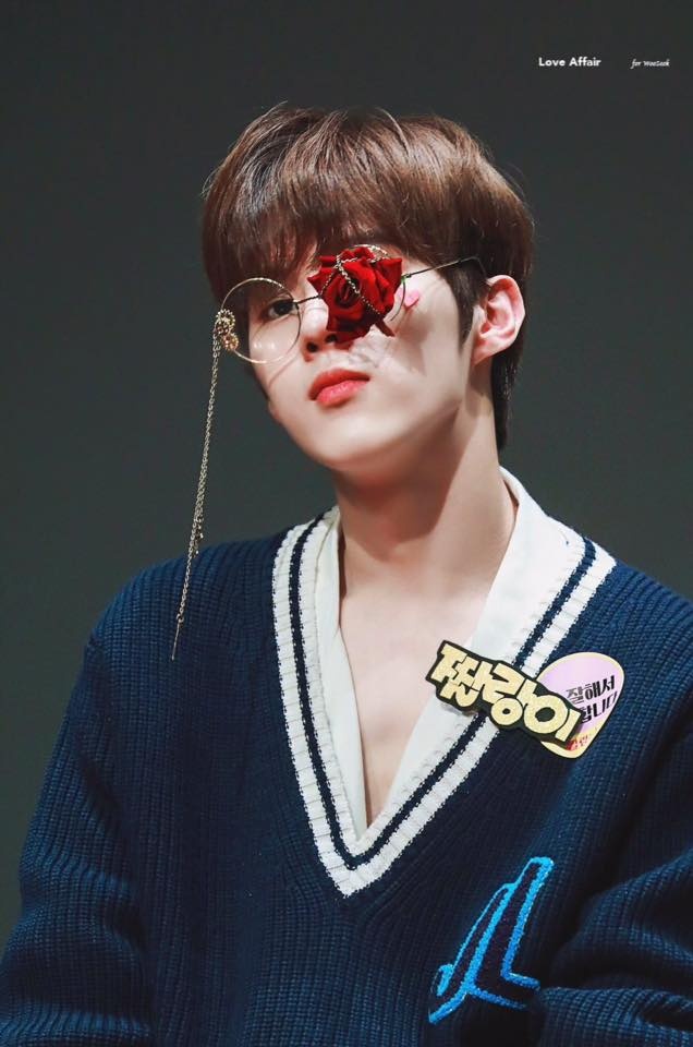 chiec kinh hoa hong idol yeu thich anh 7