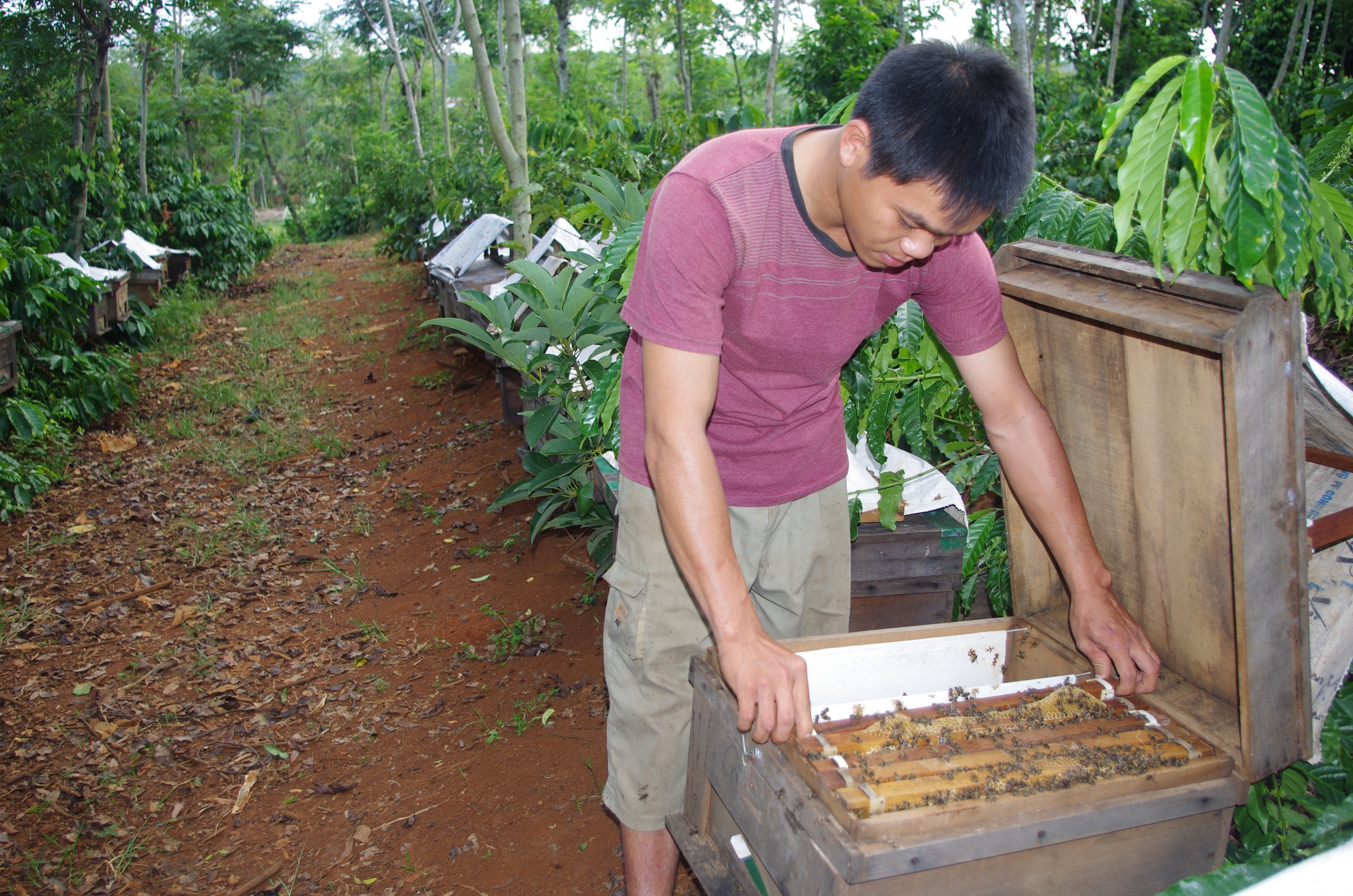 Những thất bại không làm Hiếu nản lòng.