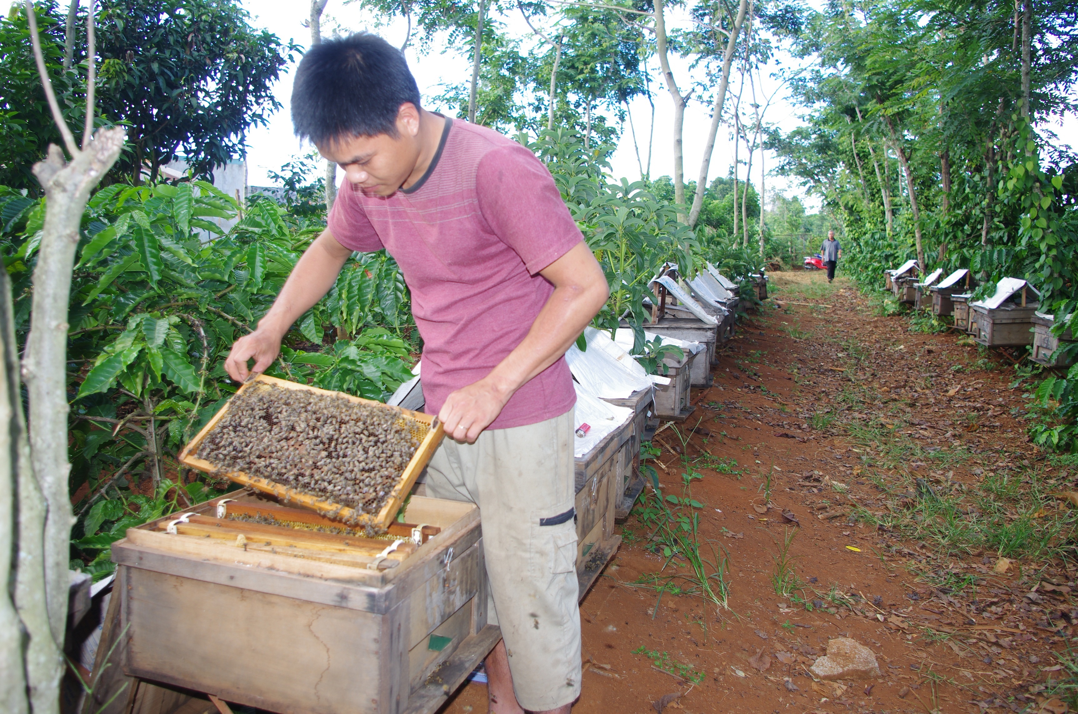 9X hoc het lop 6 kiem nua ty moi nam hinh anh