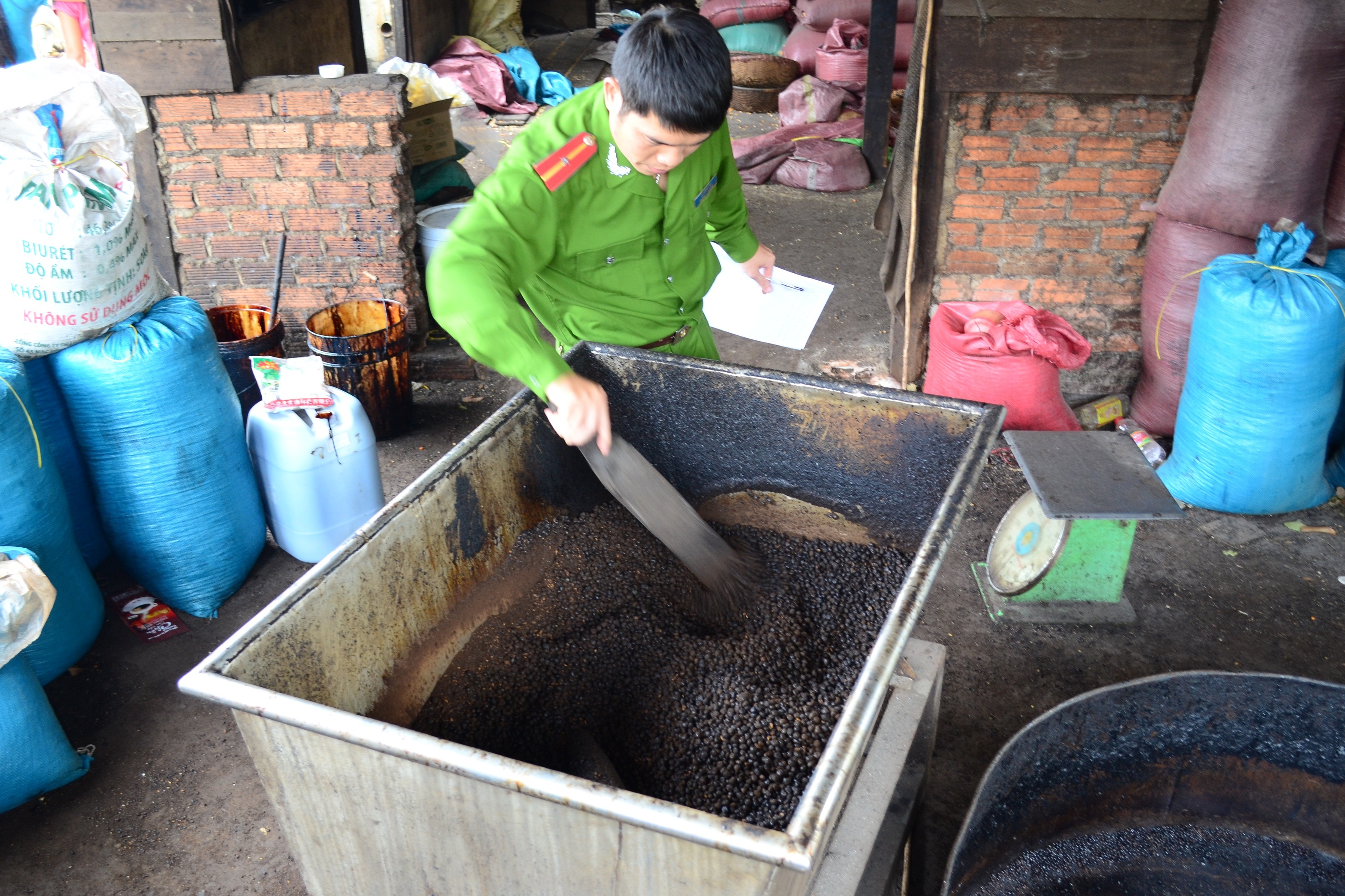 Triet pha co so che bien ca phe tu dau nanh, bap rang hinh anh