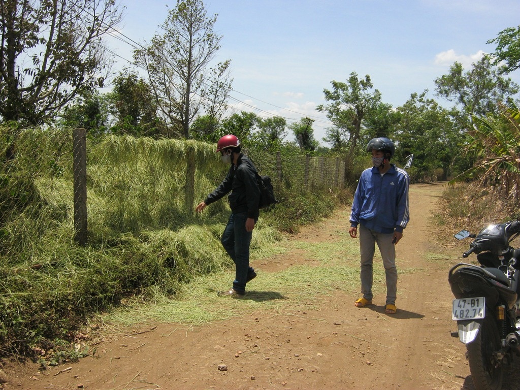 Em trai bi anh ruot tong xe tu vong hinh anh