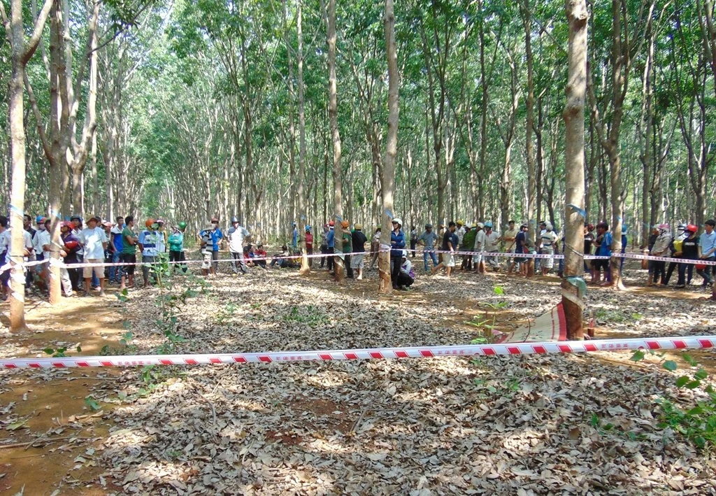 Hiện nơi phát hiện thi thể nạn nhân. Ảnh: Khải Hoàng.