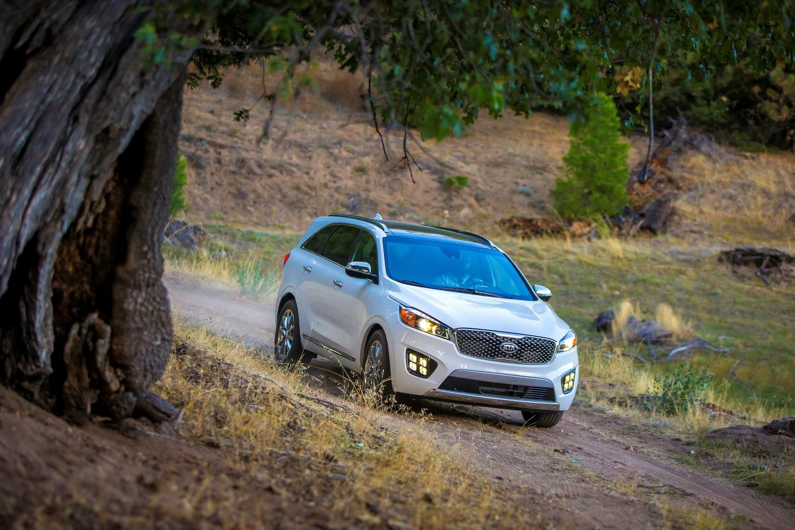 Kia Sorento 2015