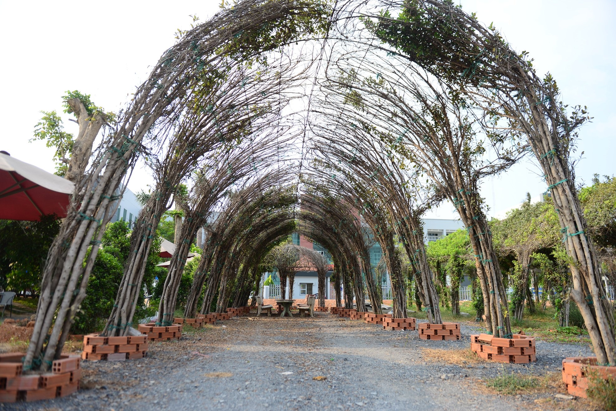 ca phe xin chao, anh 5