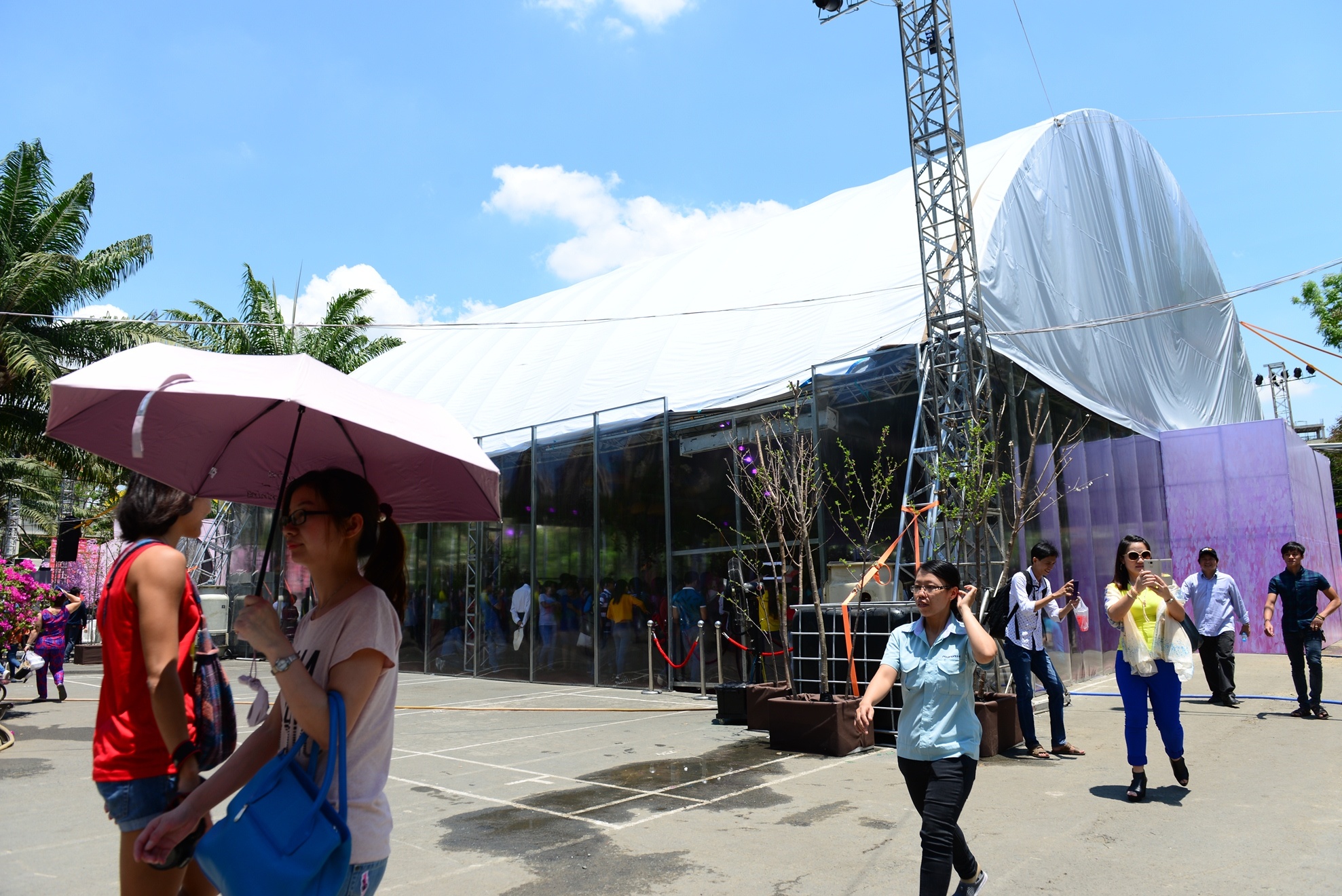 Le hoi hoa anh dao Sai Gon anh 1