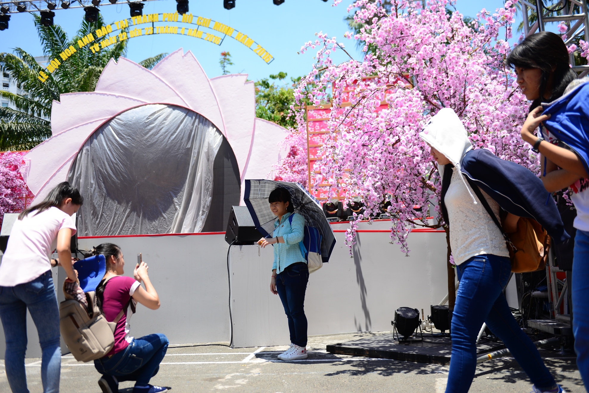 Le hoi hoa anh dao Sai Gon anh 14