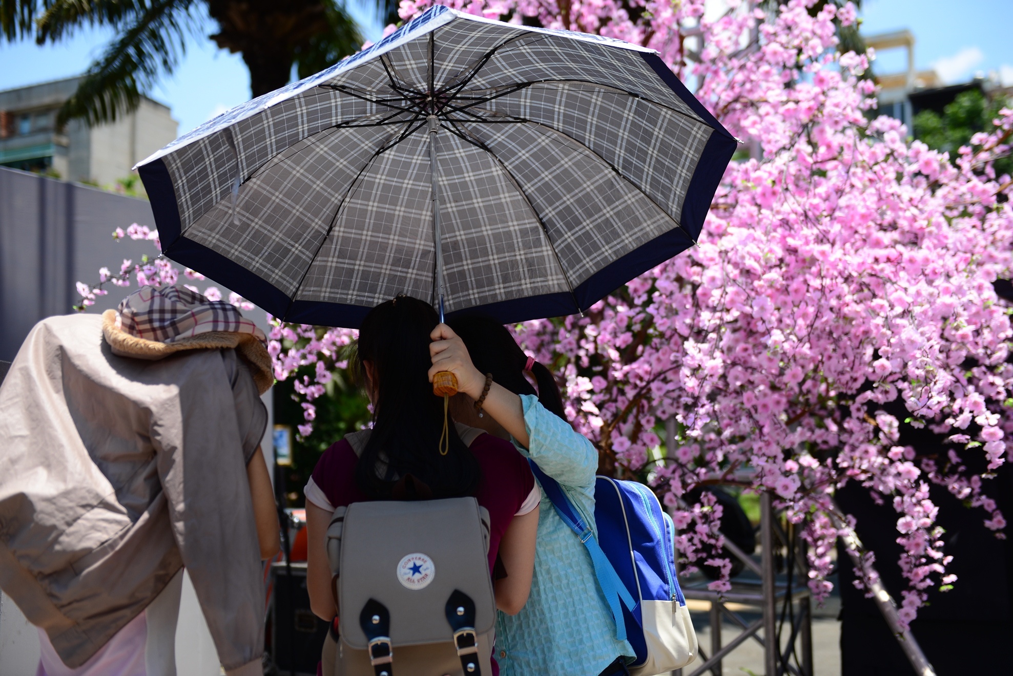 Le hoi hoa anh dao Sai Gon anh 15