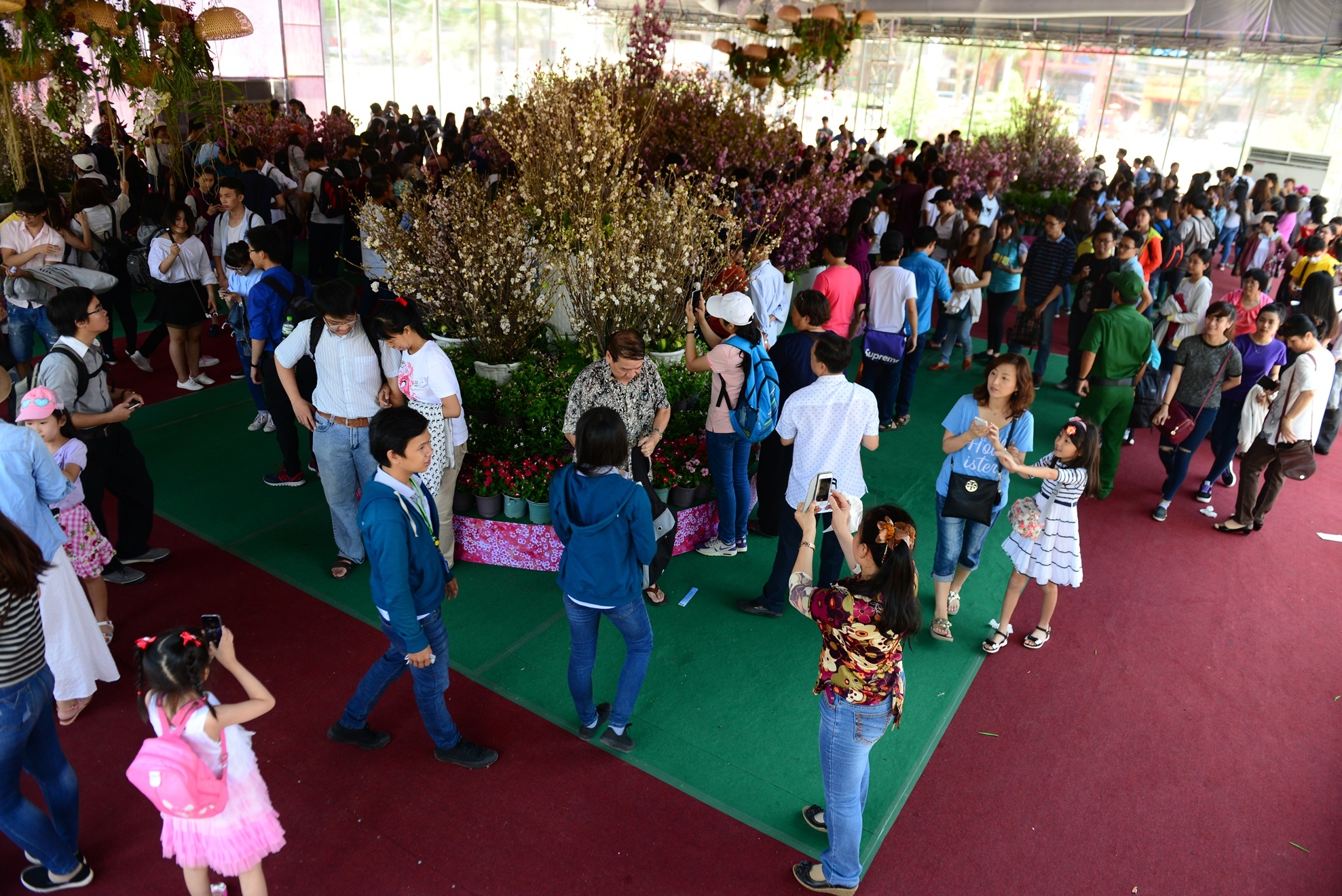 Le hoi hoa anh dao Sai Gon anh 2