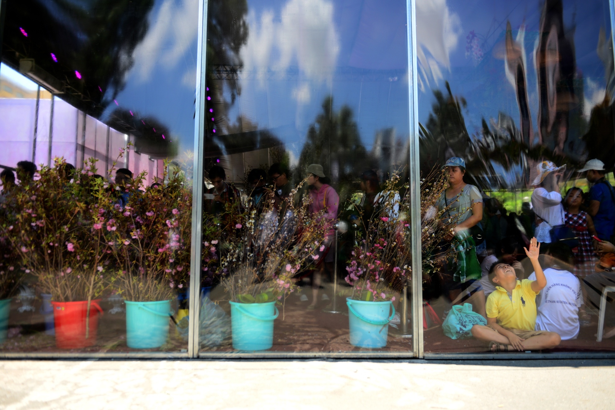 Le hoi hoa anh dao Sai Gon anh 3