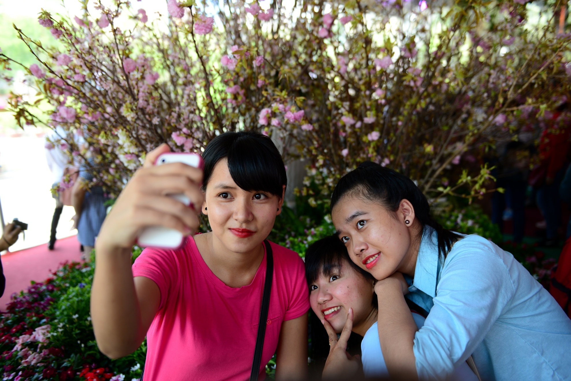 Le hoi hoa anh dao Sai Gon anh 10