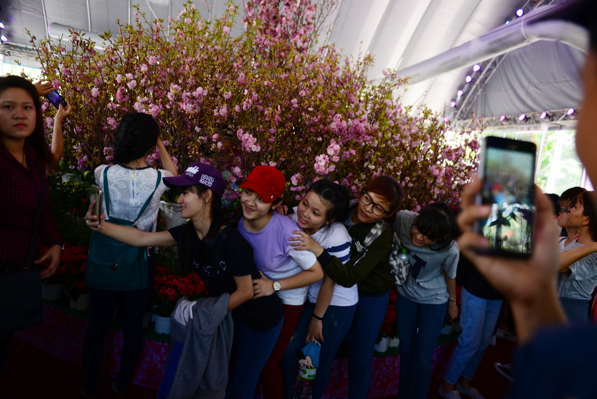 Le hoi hoa anh dao Sai Gon anh 11