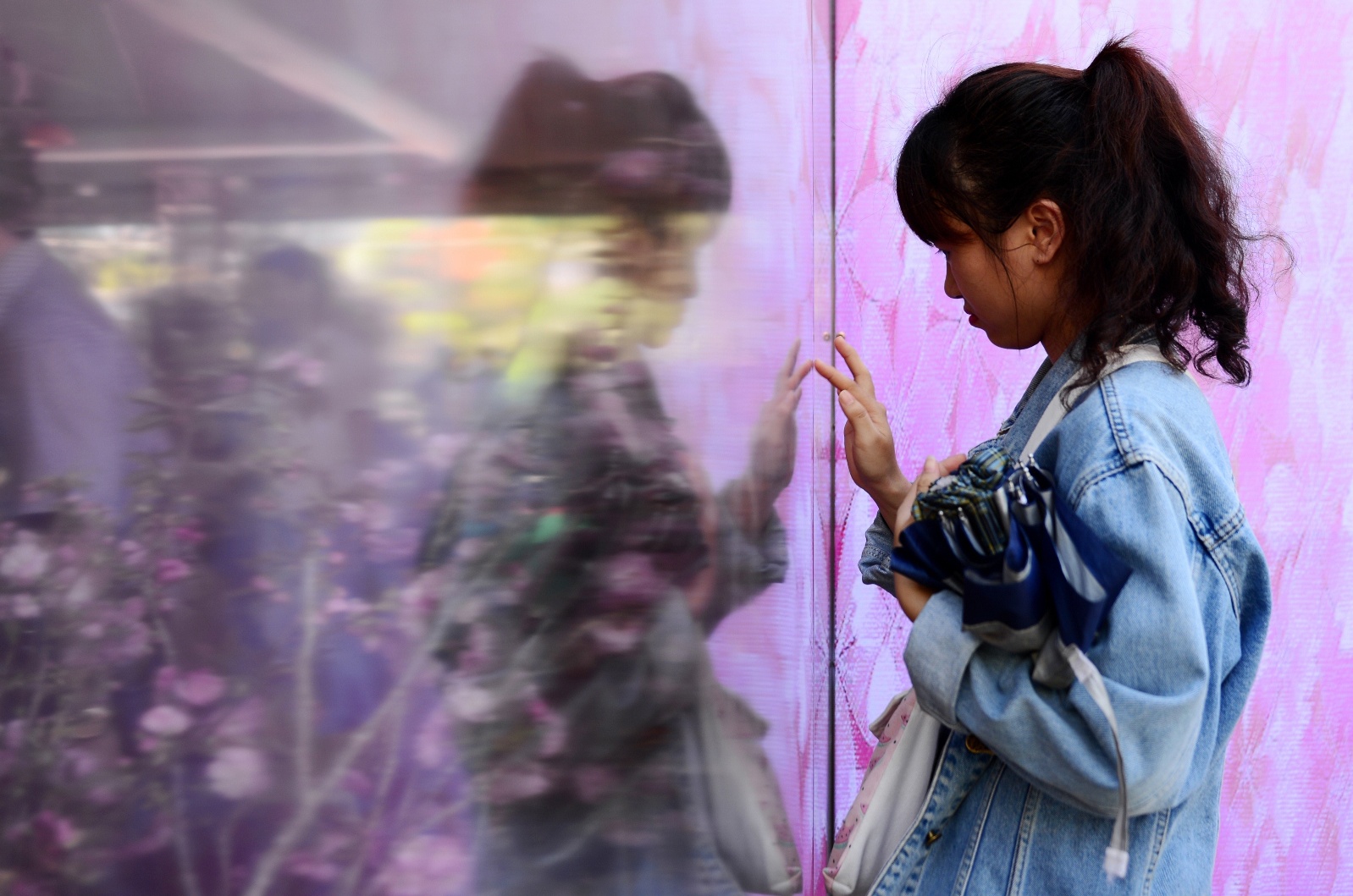 Hoa anh dao Sai Gon uop lanh trong nha kinh hinh anh