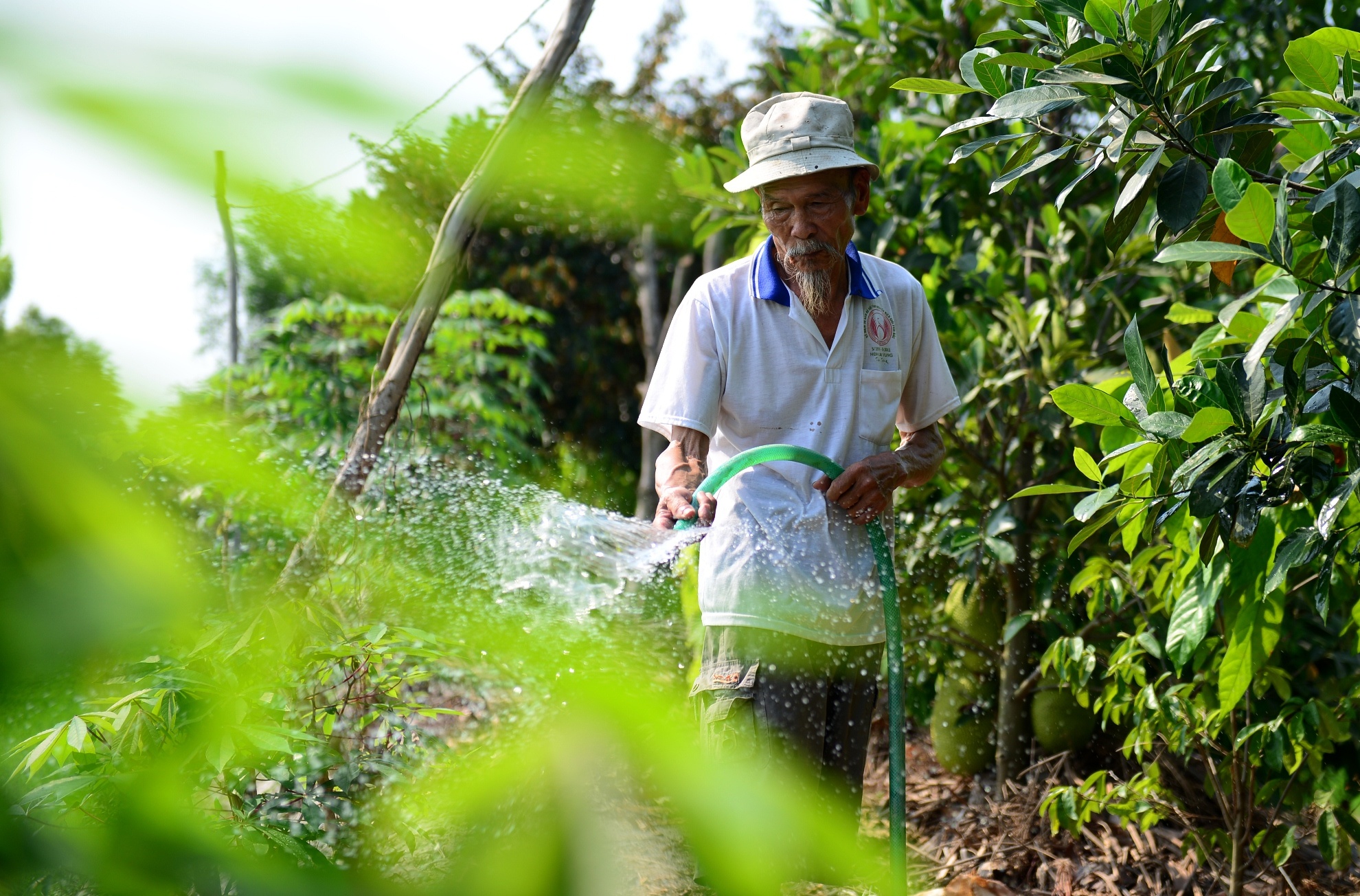 Phi Cong Nguyen Van Bay anh 4