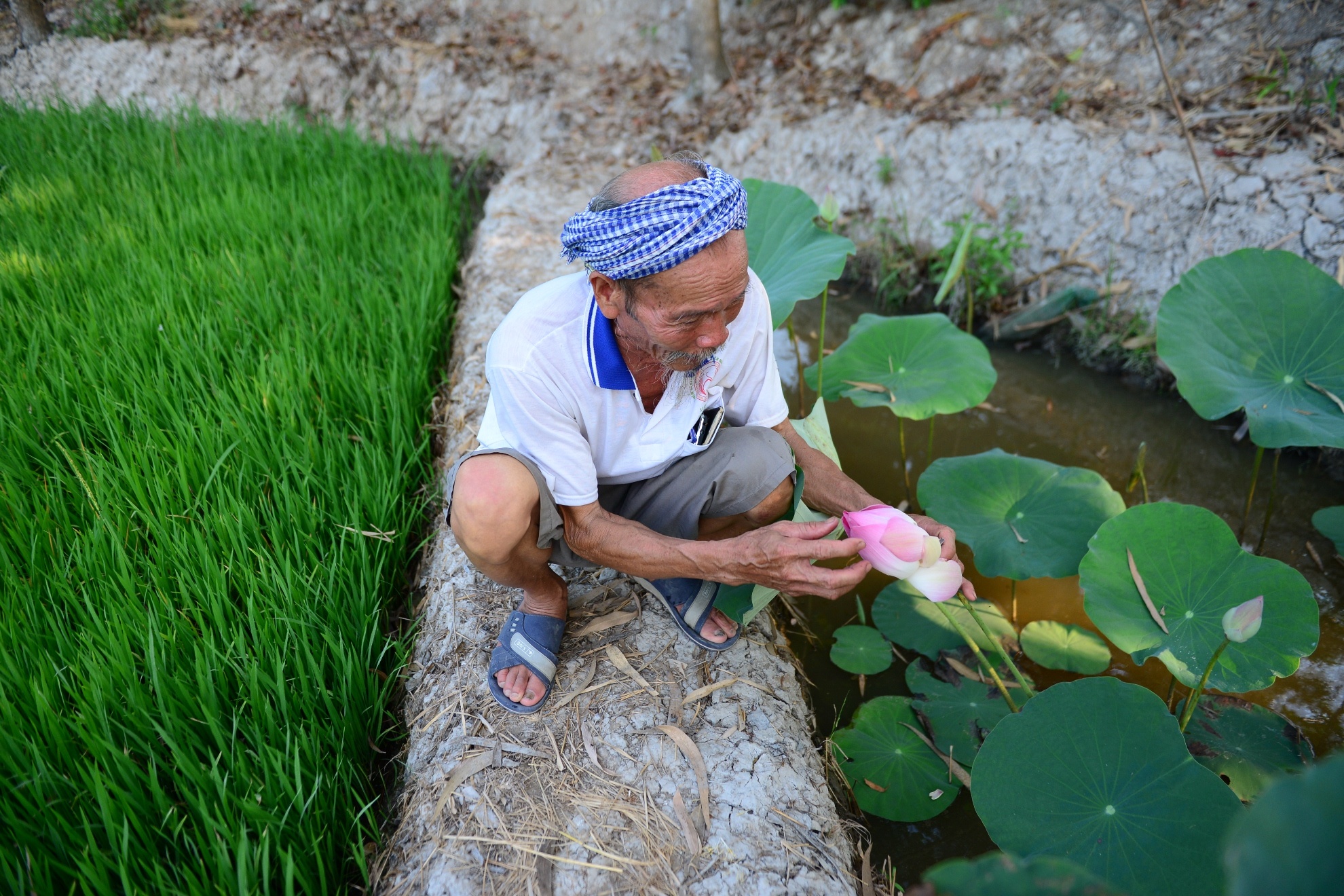 Phi Cong Nguyen Van Bay anh 5