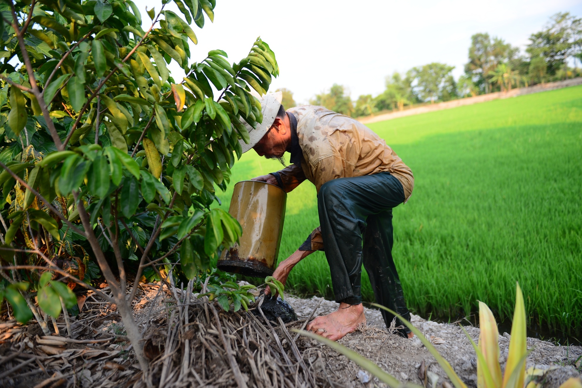 Phi Cong Nguyen Van Bay anh 7