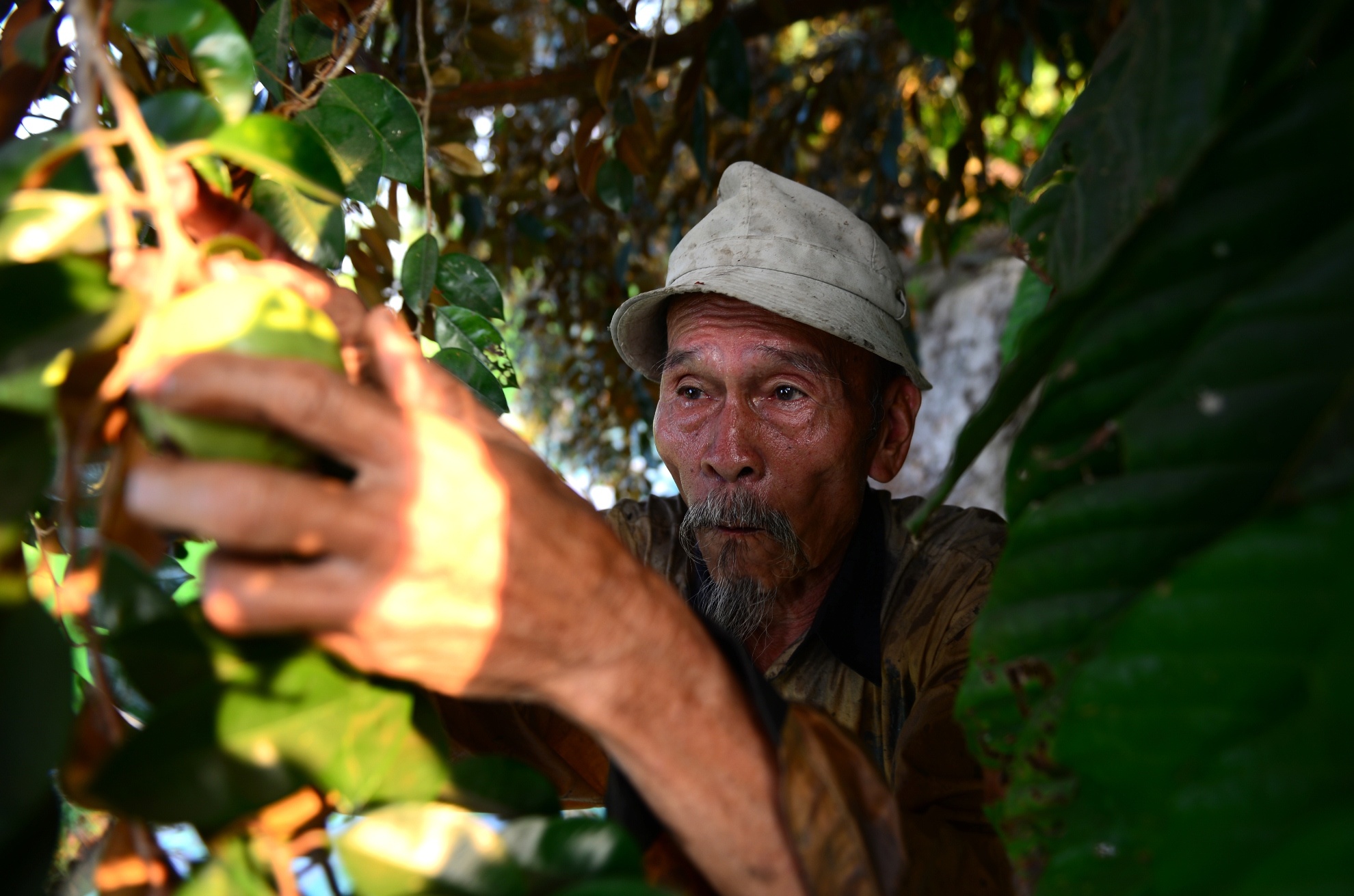 Phi Cong Nguyen Van Bay anh 9