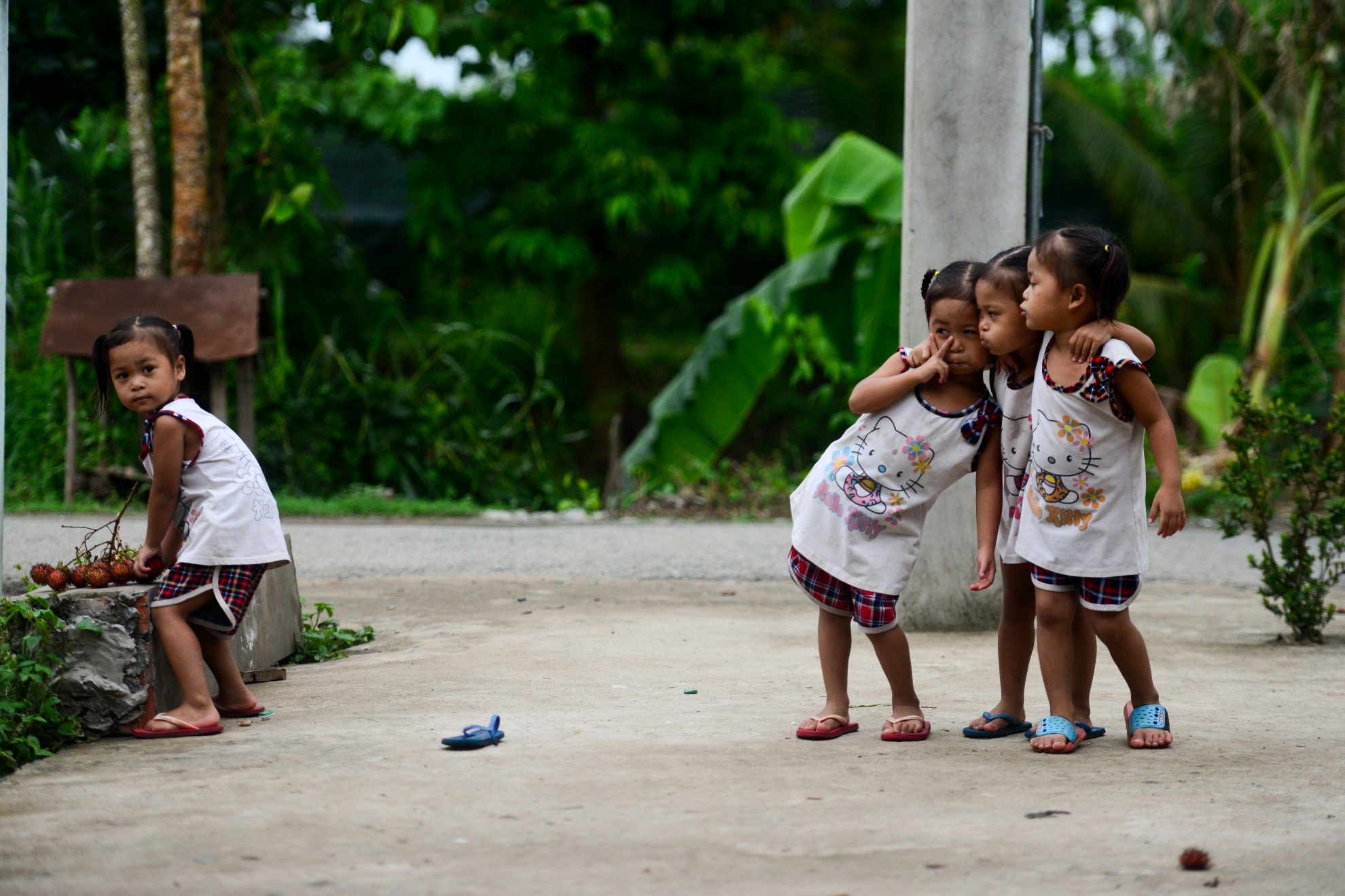 Sinh tu o Viet Nam anh 10