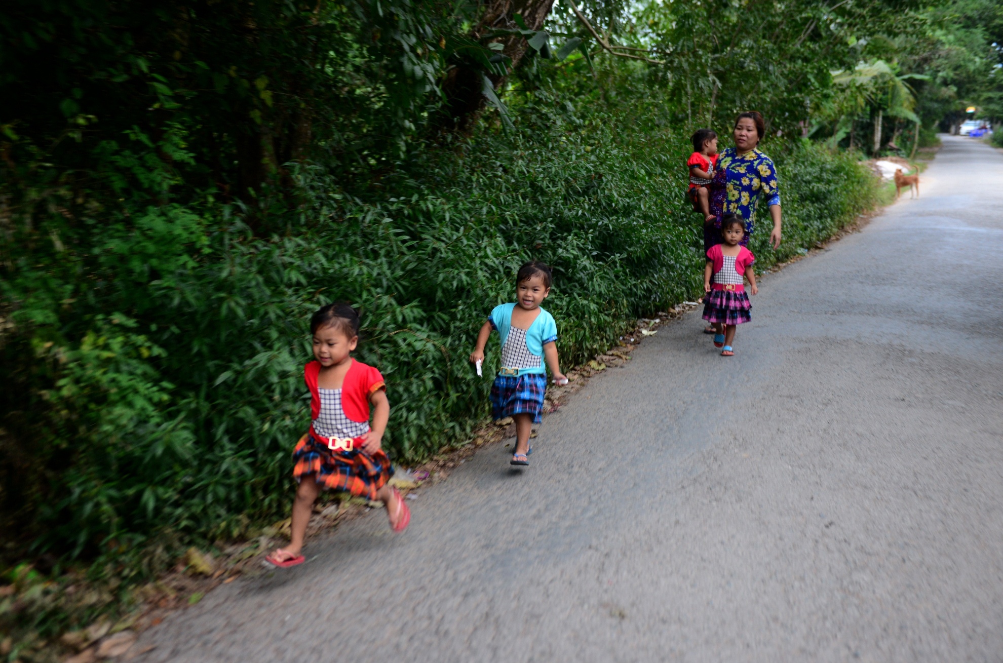 Sinh tu o Viet Nam anh 12