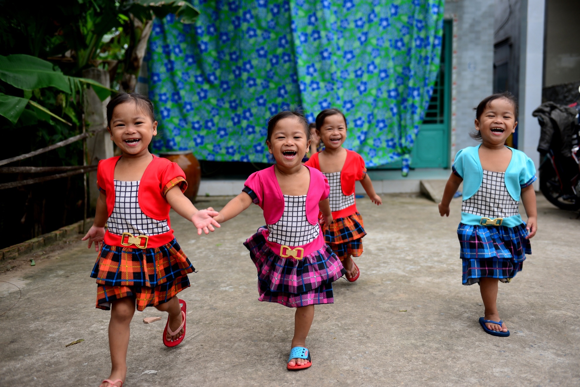 Sinh tu o Viet Nam anh 2