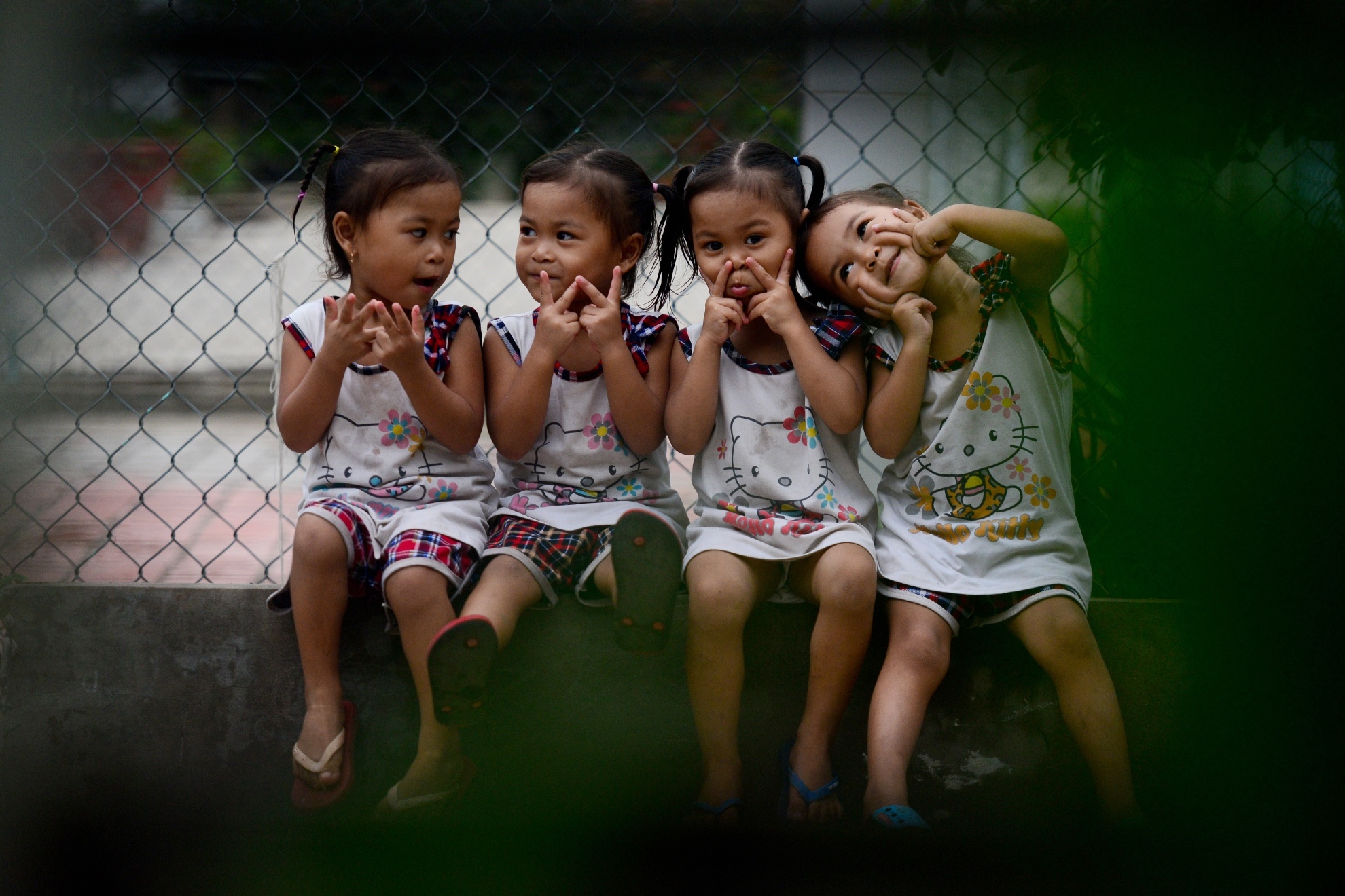 Sinh tu o Viet Nam anh 18