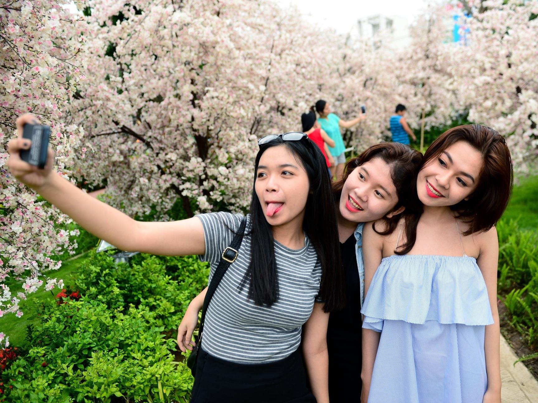 Xuat hien vuon hoa anh dao thu hut gioi tre Sai Gon hinh anh