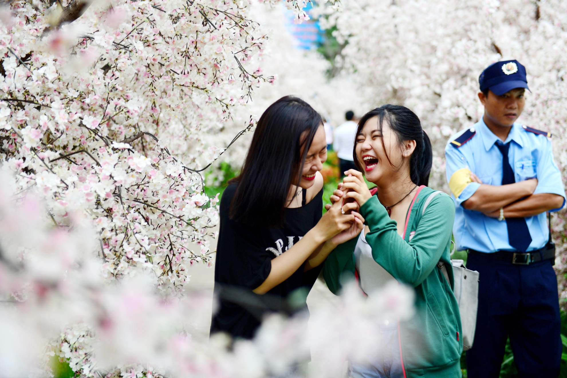 vuon hoa anh dao tai Sai Gon anh 1