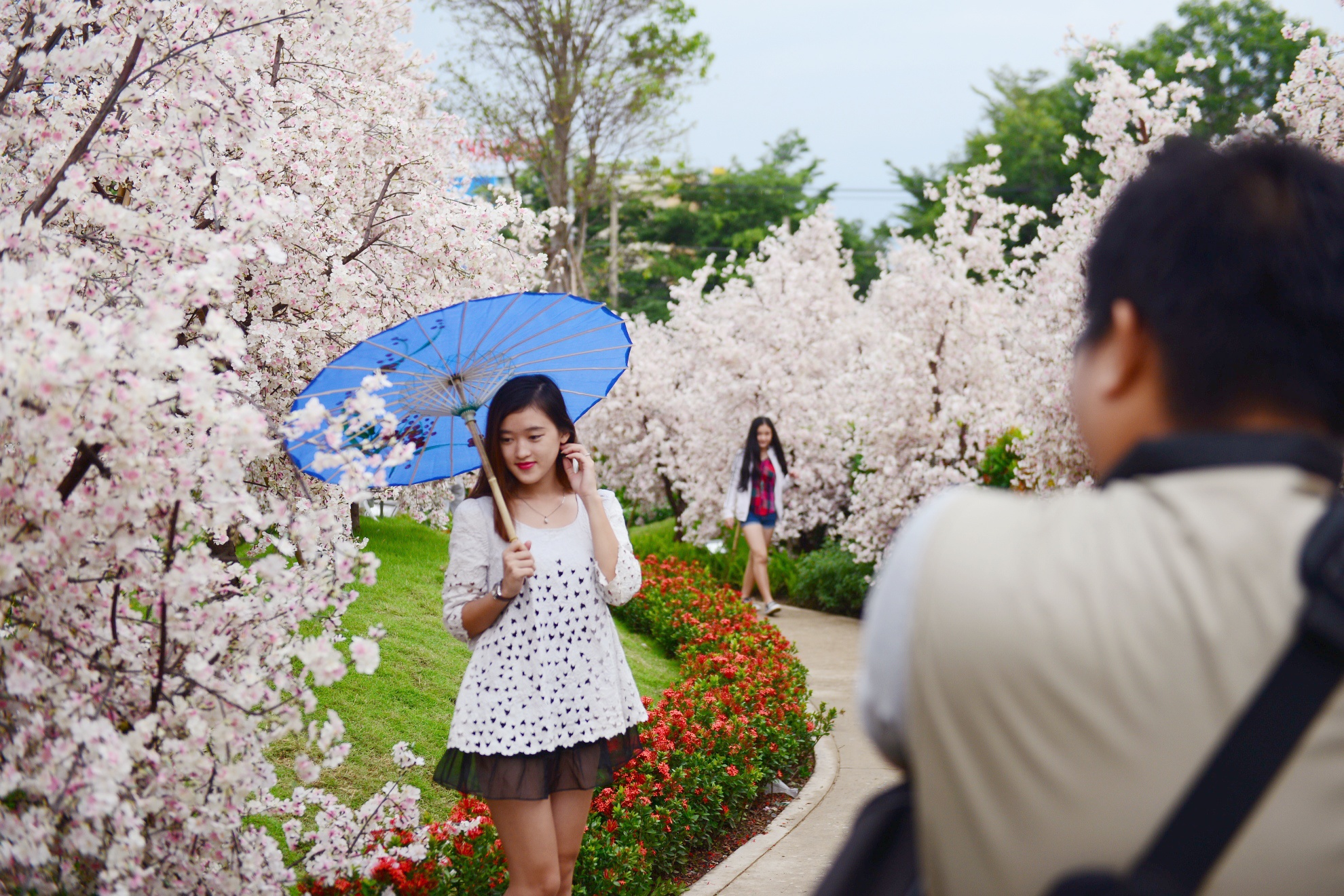 vuon hoa anh dao tai Sai Gon anh 4