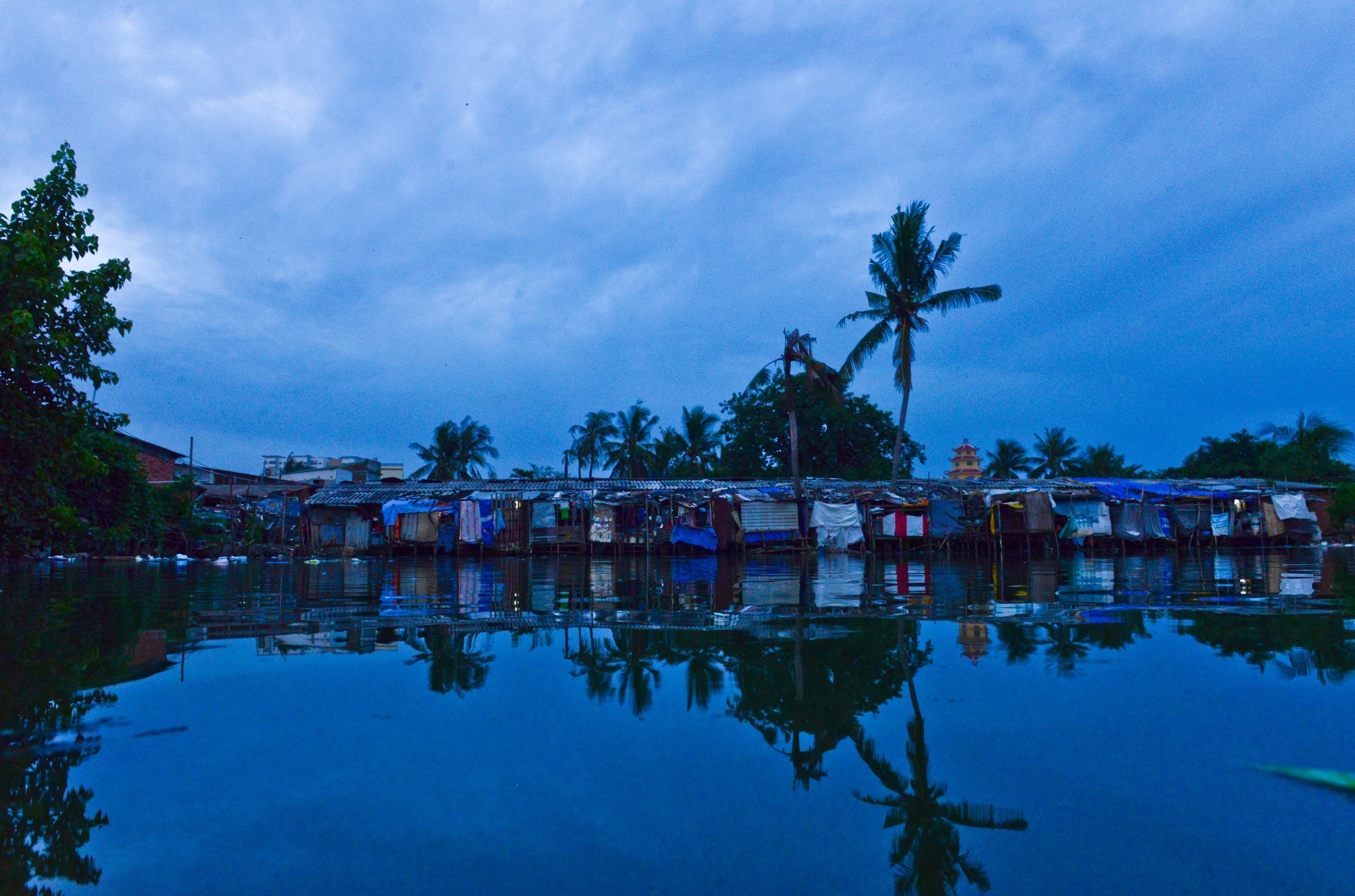 Khu o chuot Sai Gon anh 1