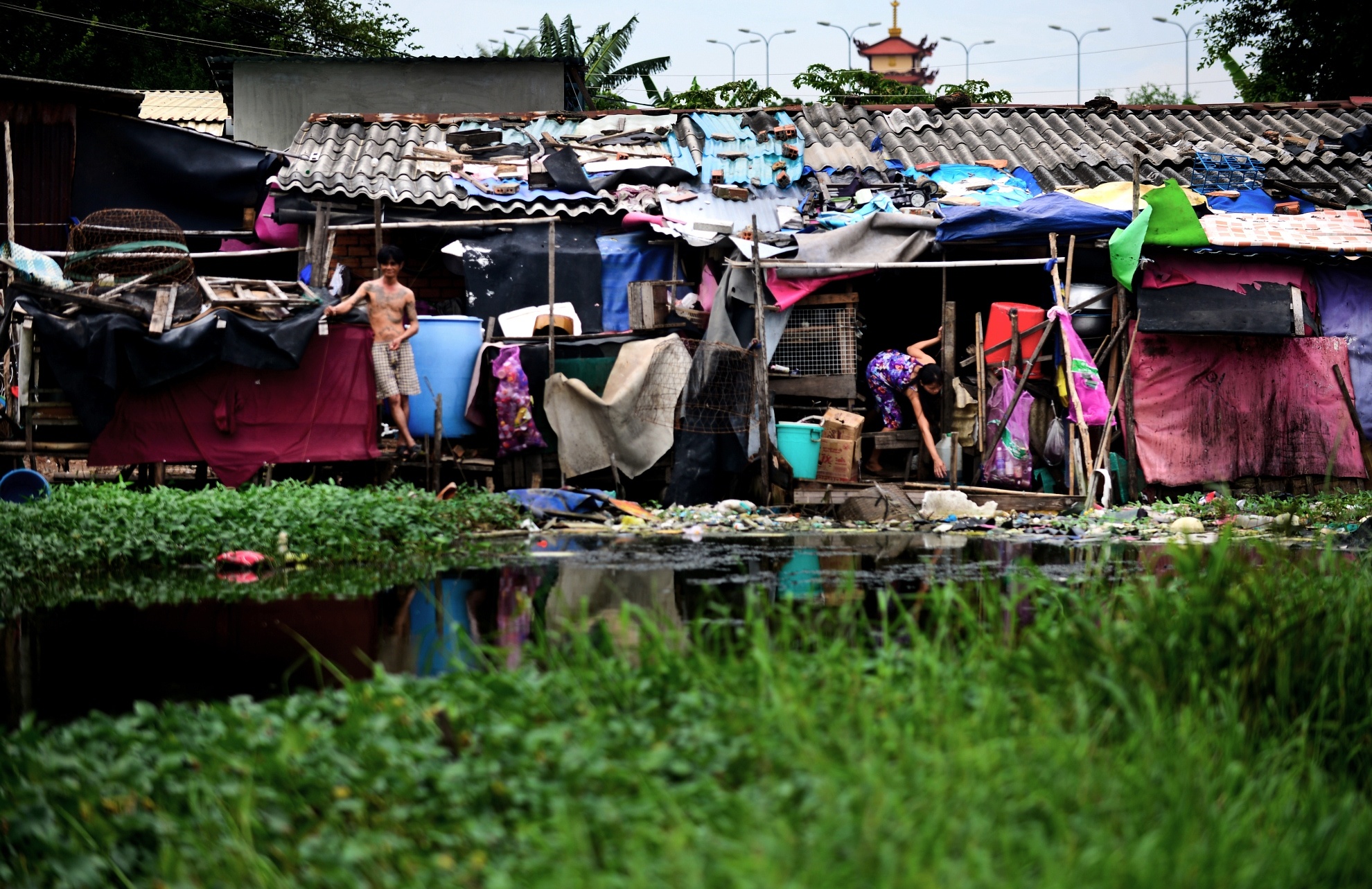 Khu o chuot Sai Gon anh 13