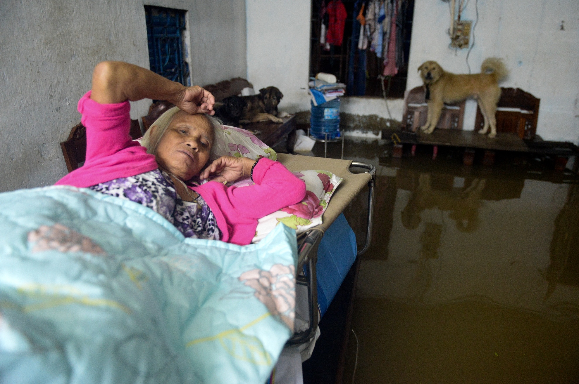 Mua ngap Sai Gon anh 13