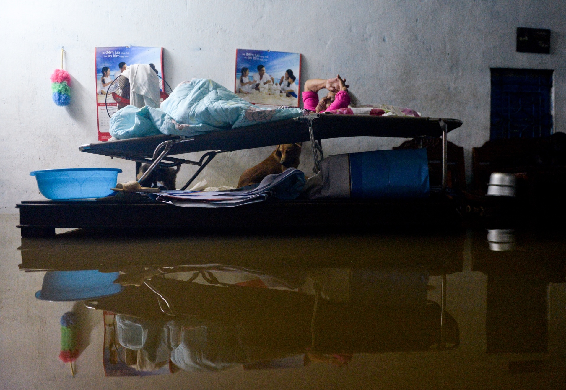 Mua ngap Sai Gon anh 14