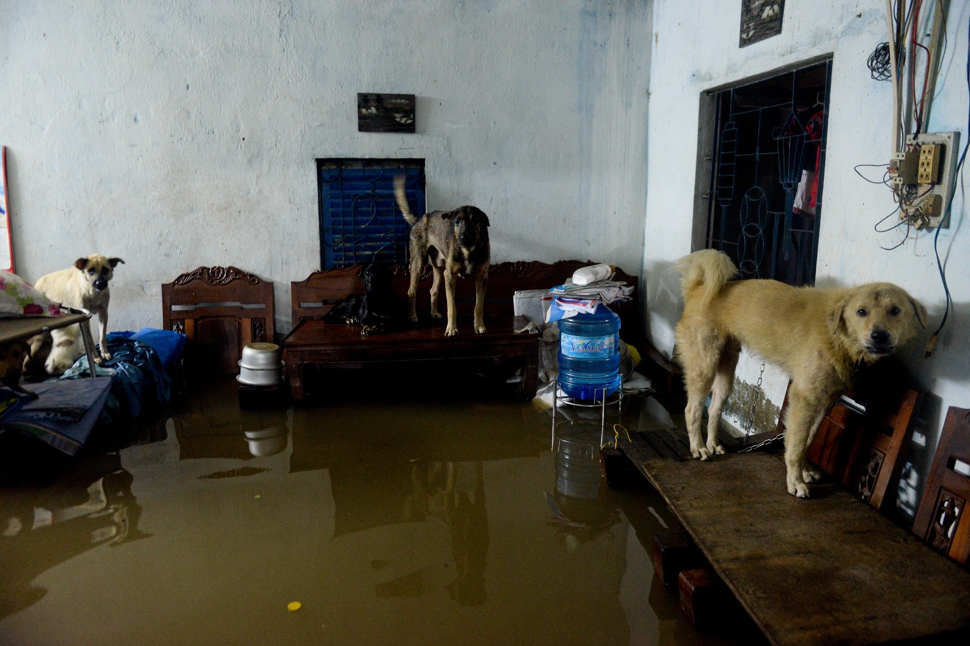 Mua ngap Sai Gon anh 17