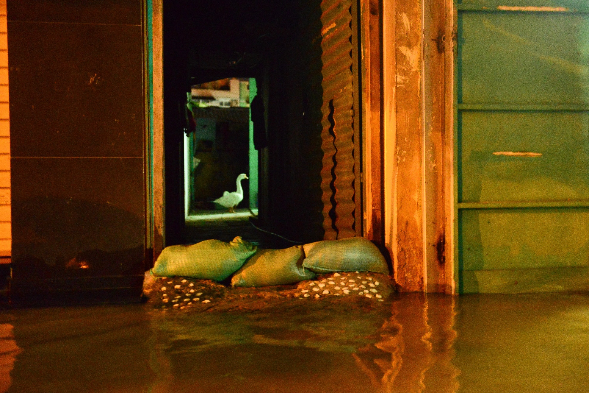 Trieu cuong gay ngap anh 5