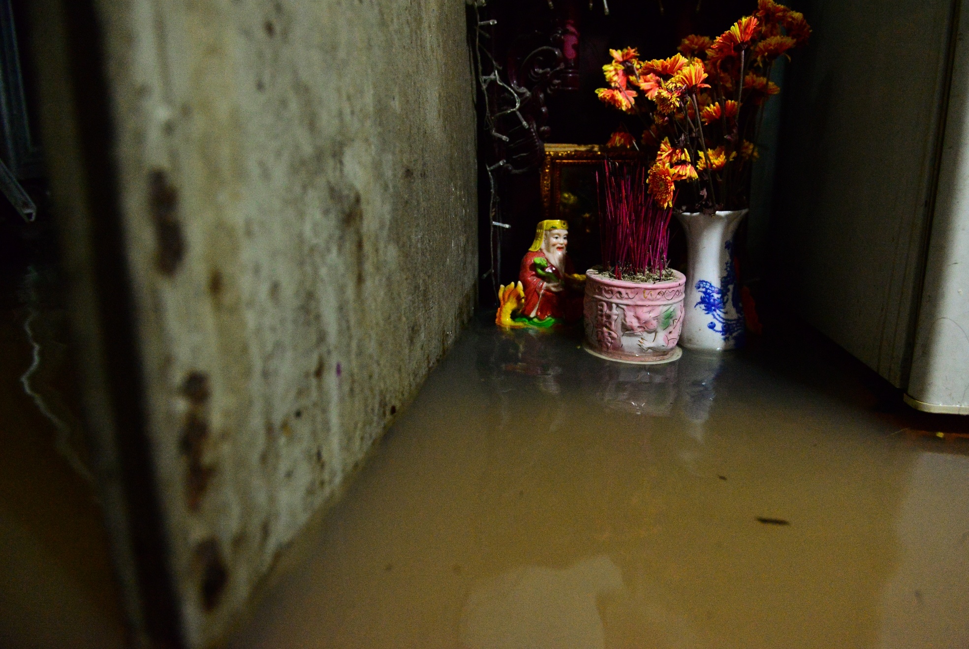 Trieu cuong gay ngap anh 7