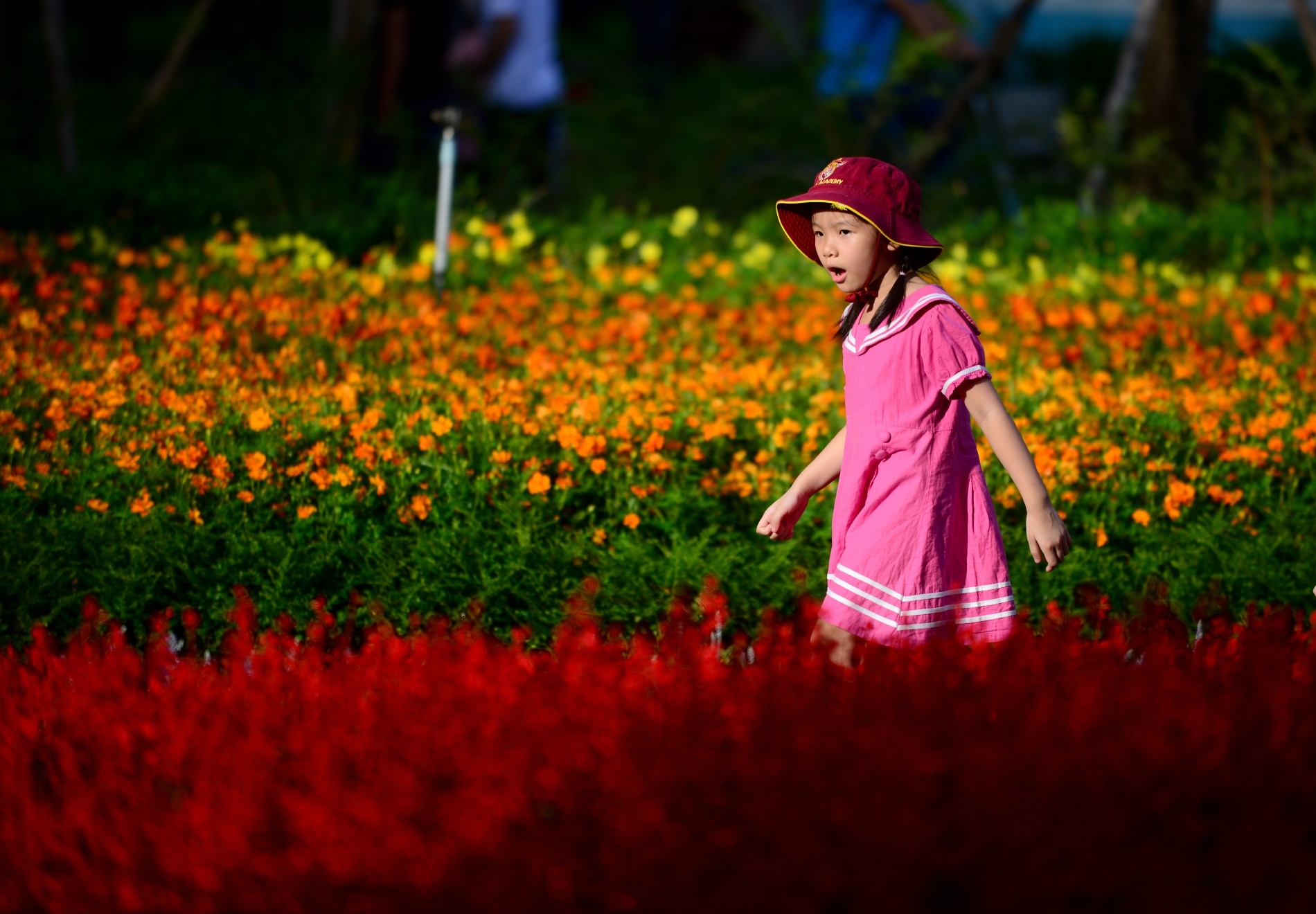 ngay dau nam moi anh 14