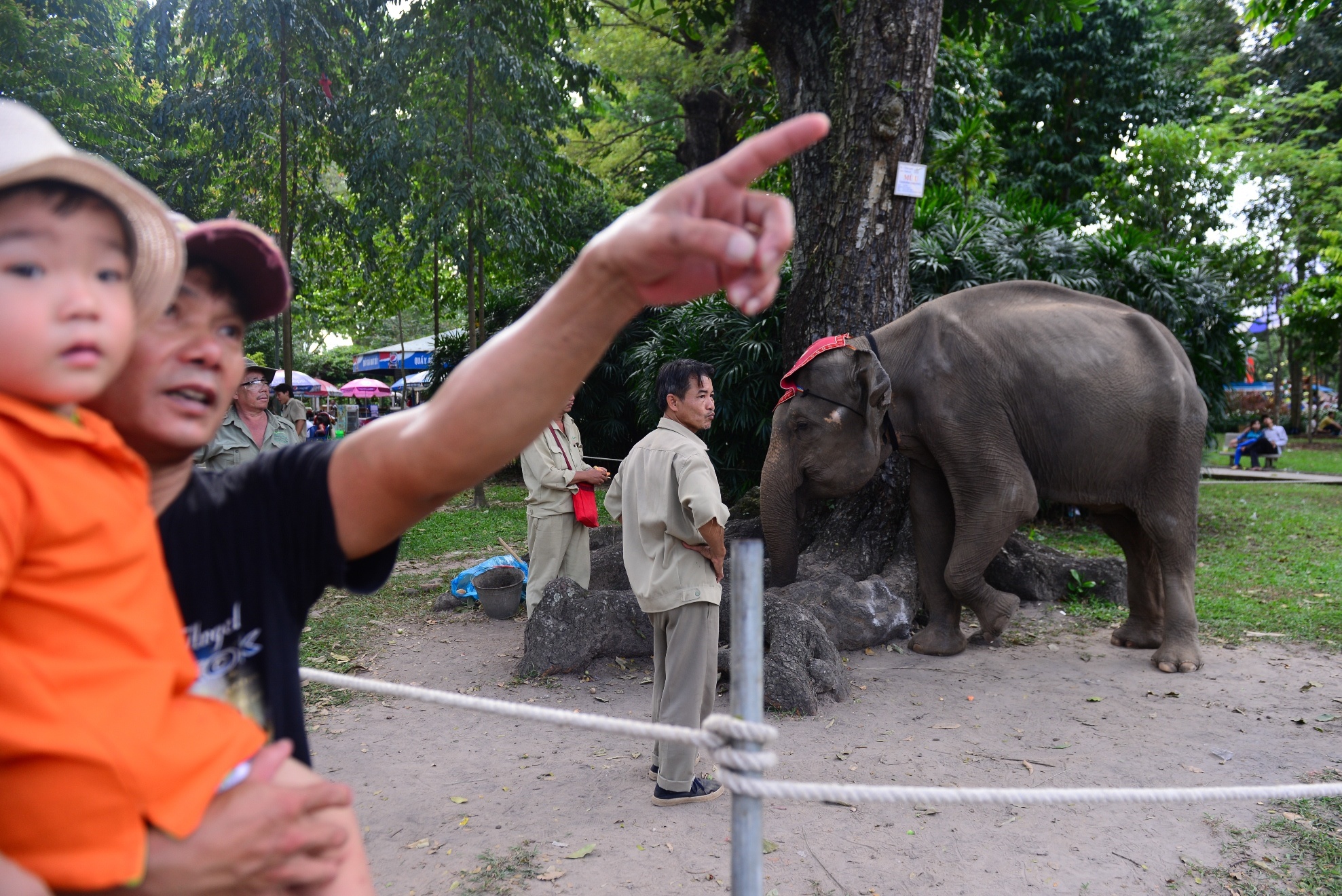 ngay dau nam moi anh 15