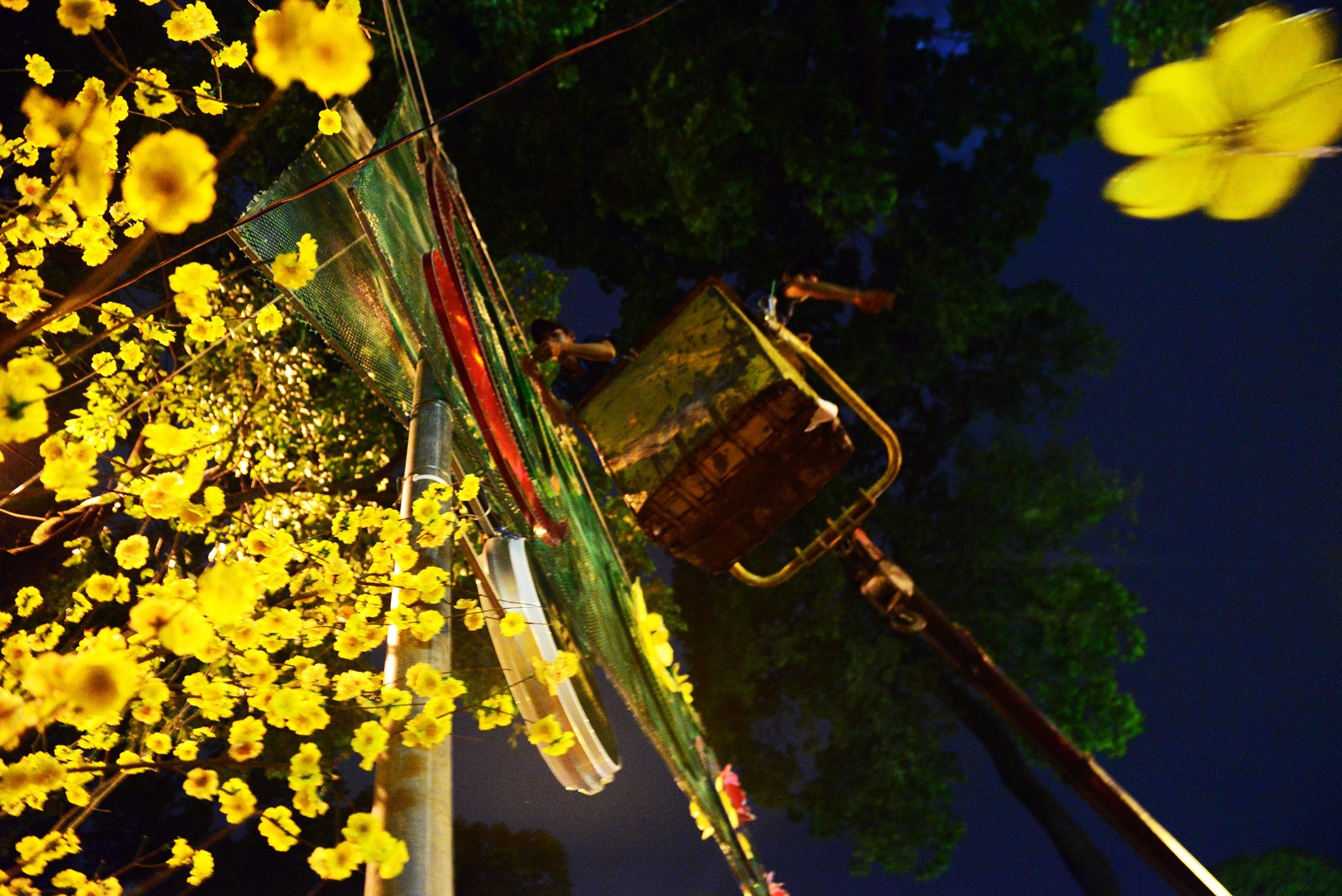 trang trí đường phố đón tết ảnh 1 trang tri duong pho don tet anh 1