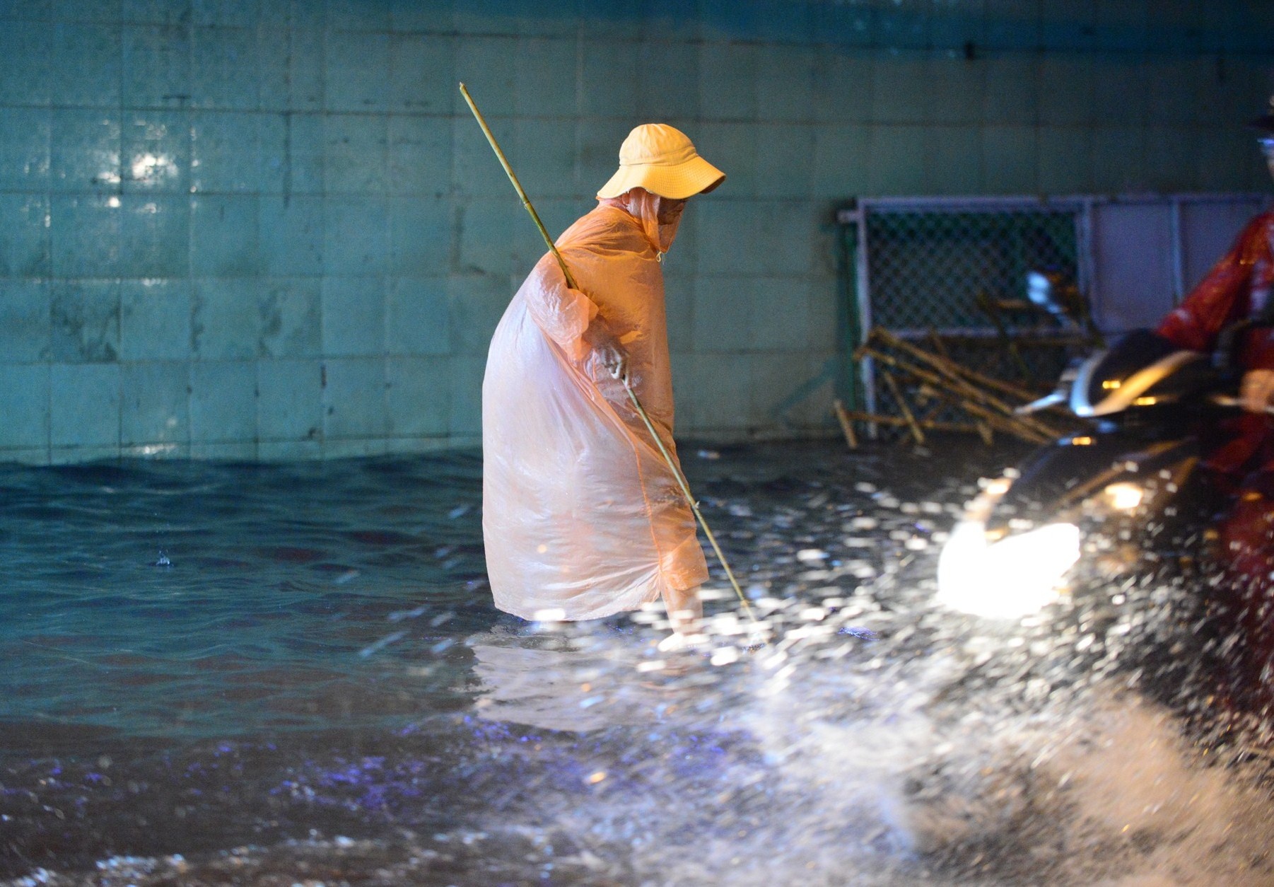 mua ngap mung 6 tet anh 5