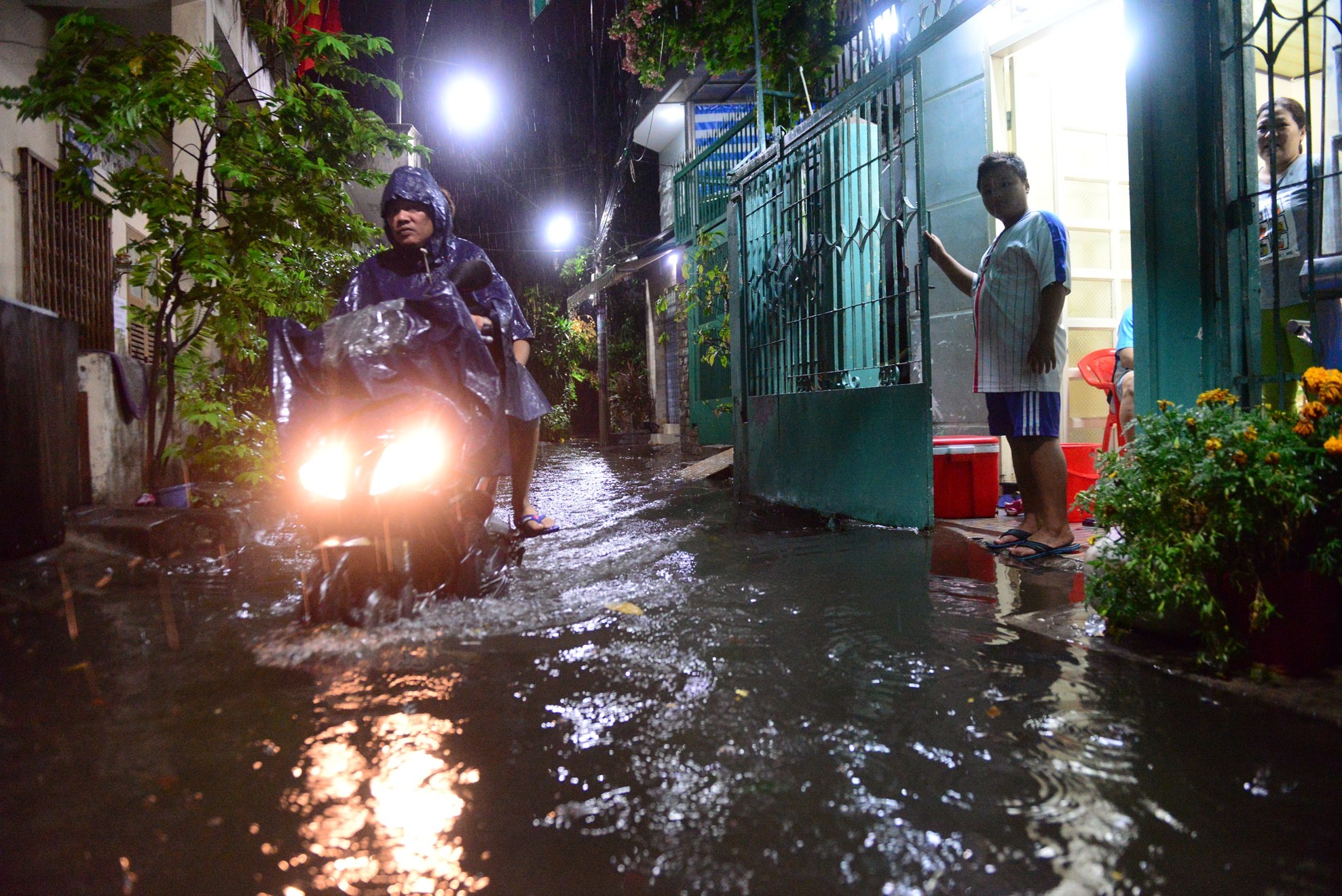 mua ngap mung 6 tet anh 7