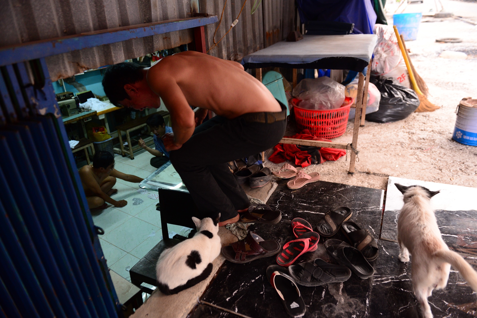 Nâng đường nhà biến thành hầm ảnh 7 Nang duong nha bien thanh ham anh 7