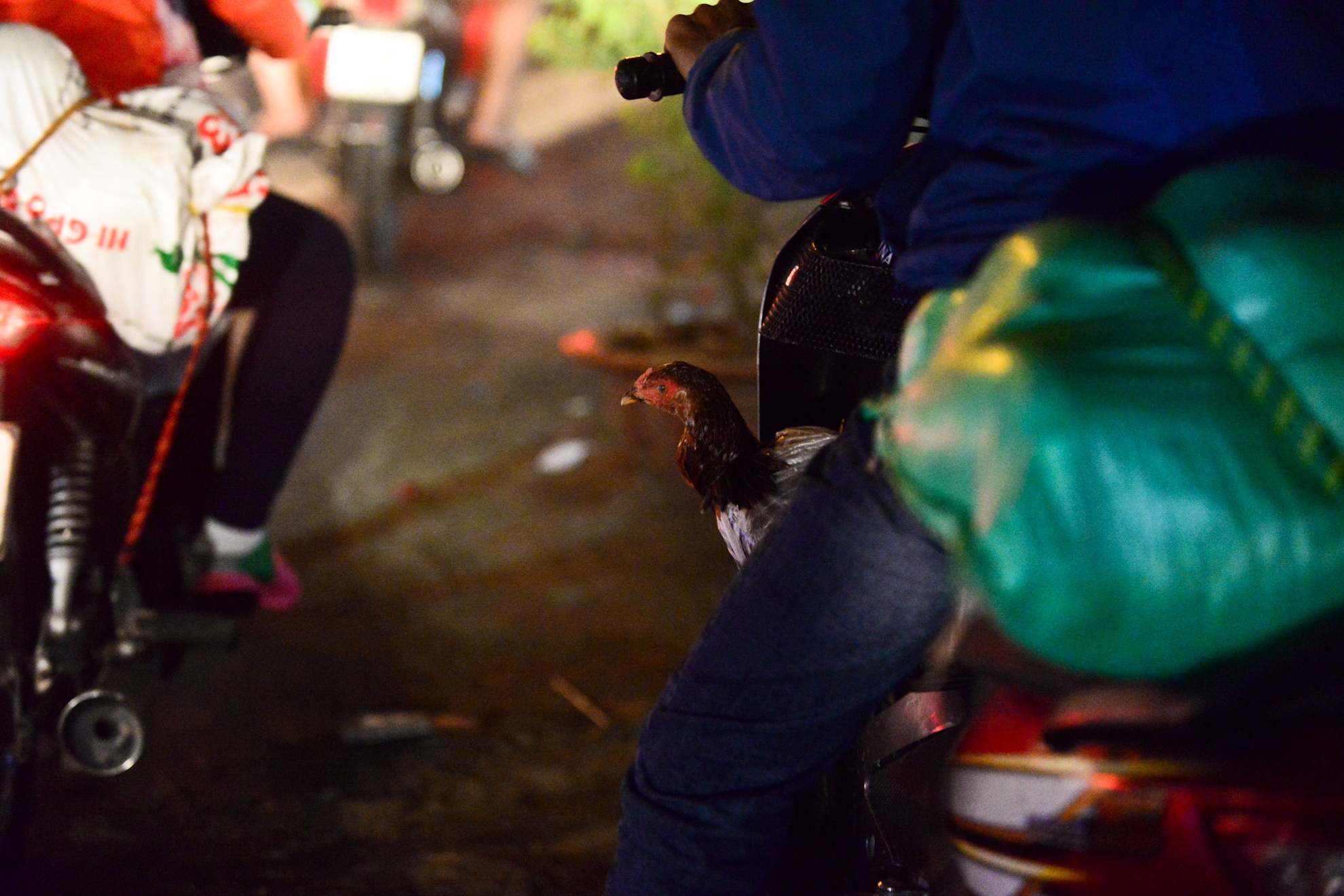 Duong Tay un u vi nguoi dan tro lai Sai Gon anh 9