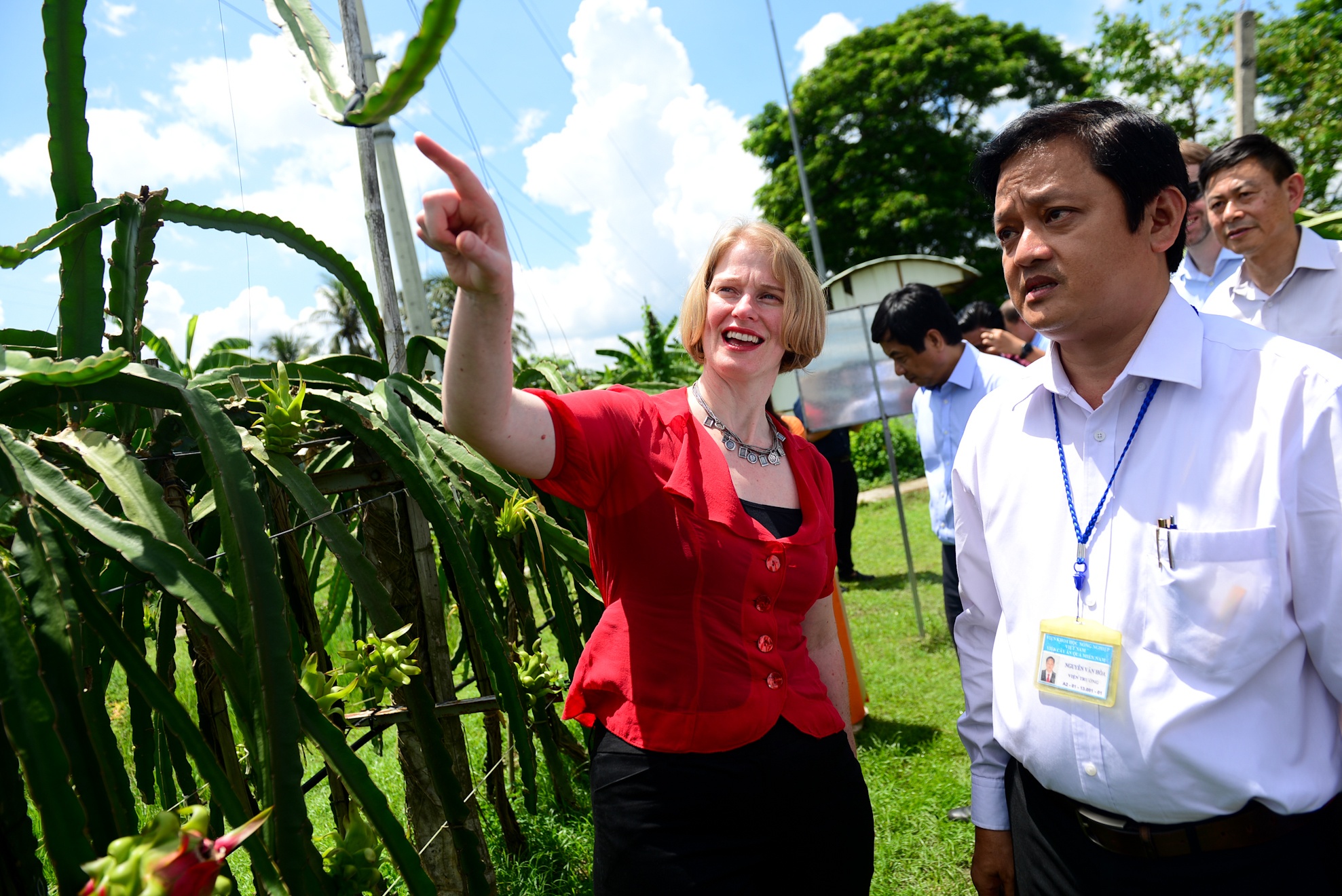 Dai su New Zealand tham vuon thanh long tai Tien Giang hinh anh