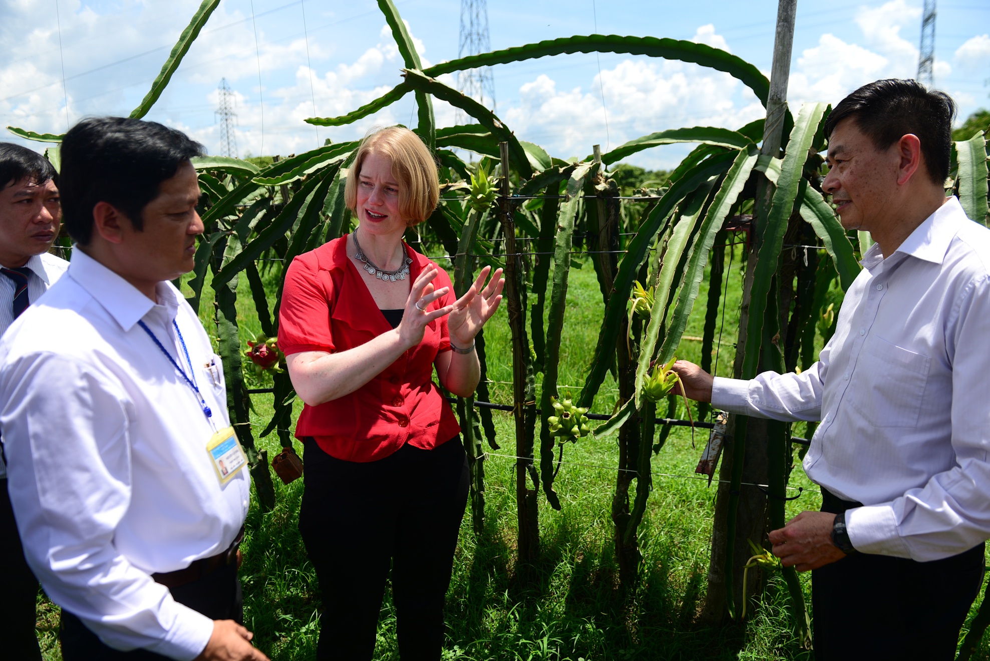 Dai su New Zealand tham vuon thanh long anh 2