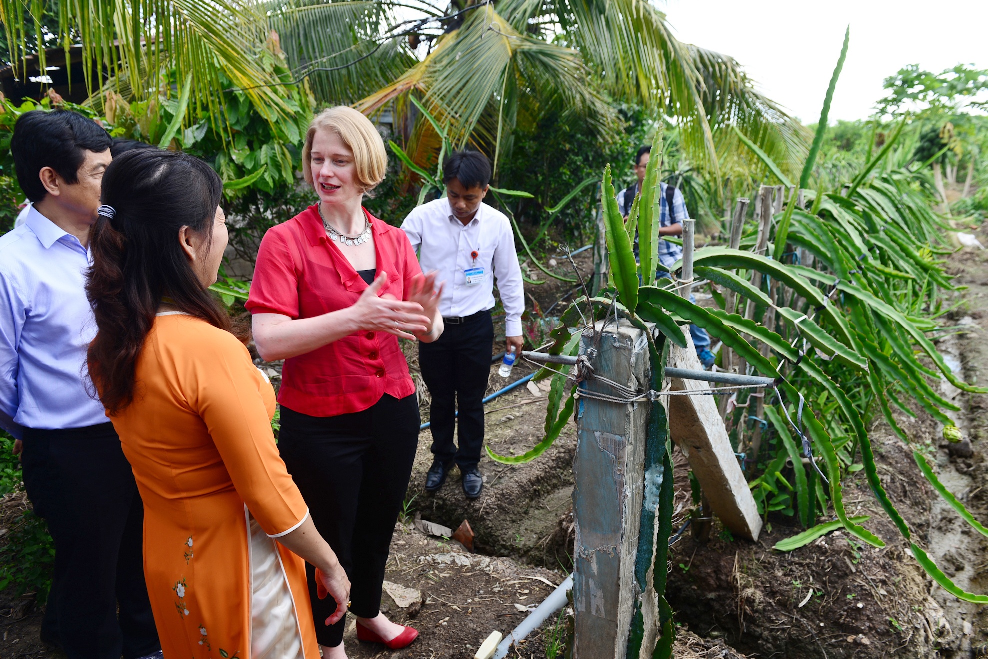 Dai su New Zealand tham vuon thanh long anh 9