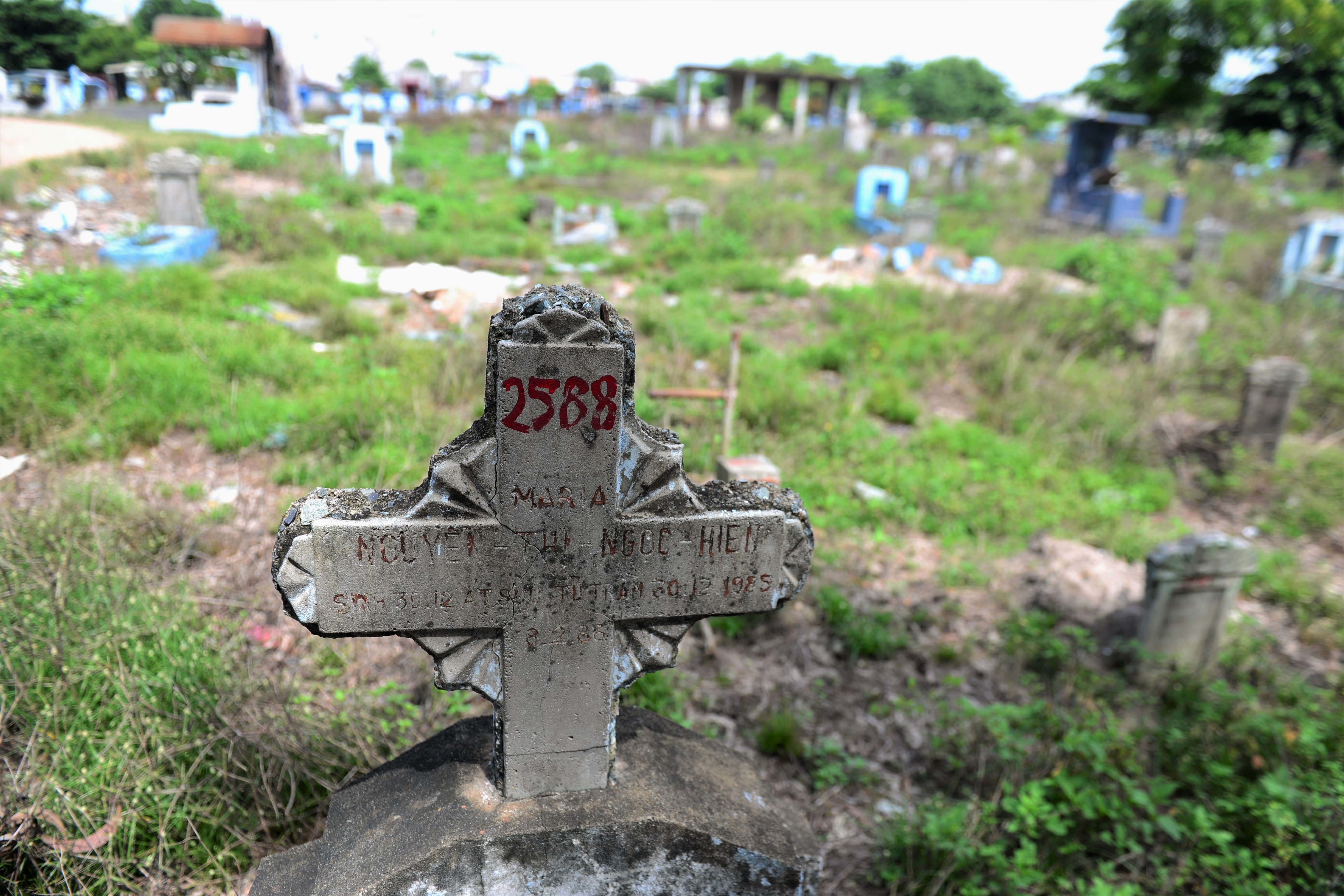 Nghia trang Binh Hung Hoa anh 12