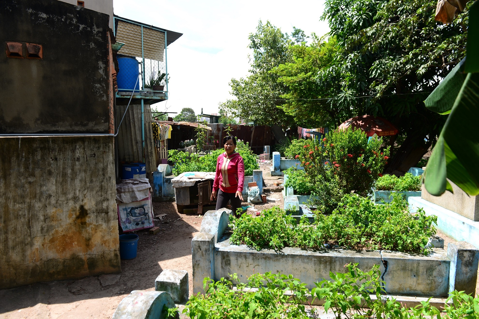 Nghia trang Binh Hung Hoa anh 9